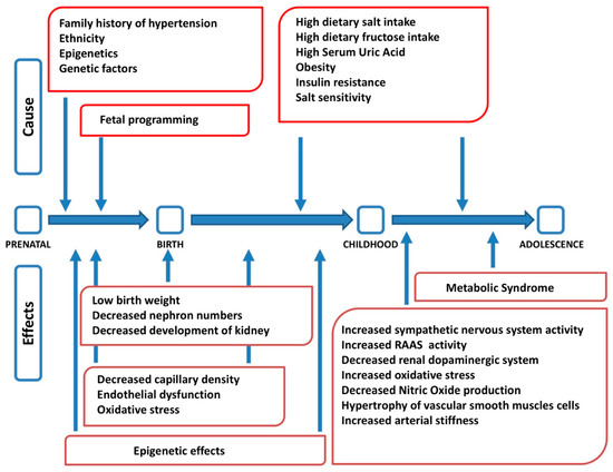 Nutrients 13 00697 g001 550