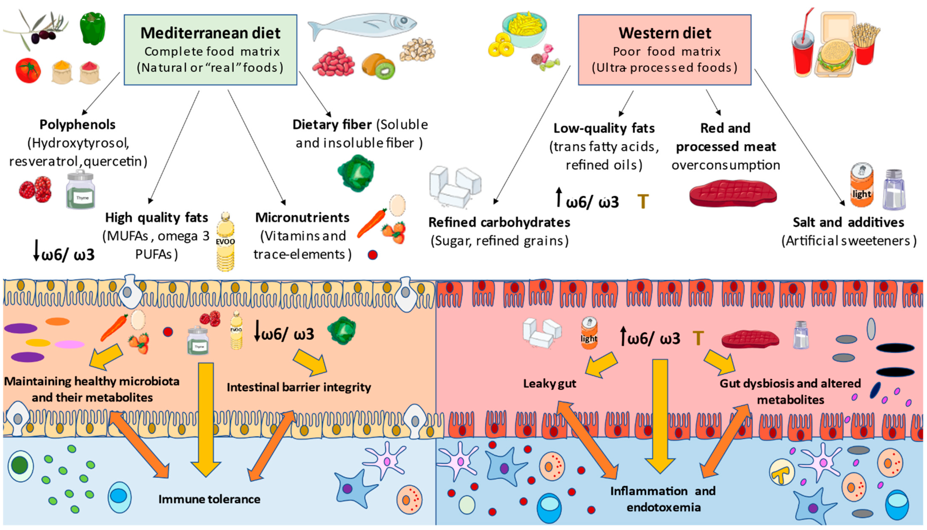 Nutrients 13 00699 g003 Nutrients 13 00699 g003