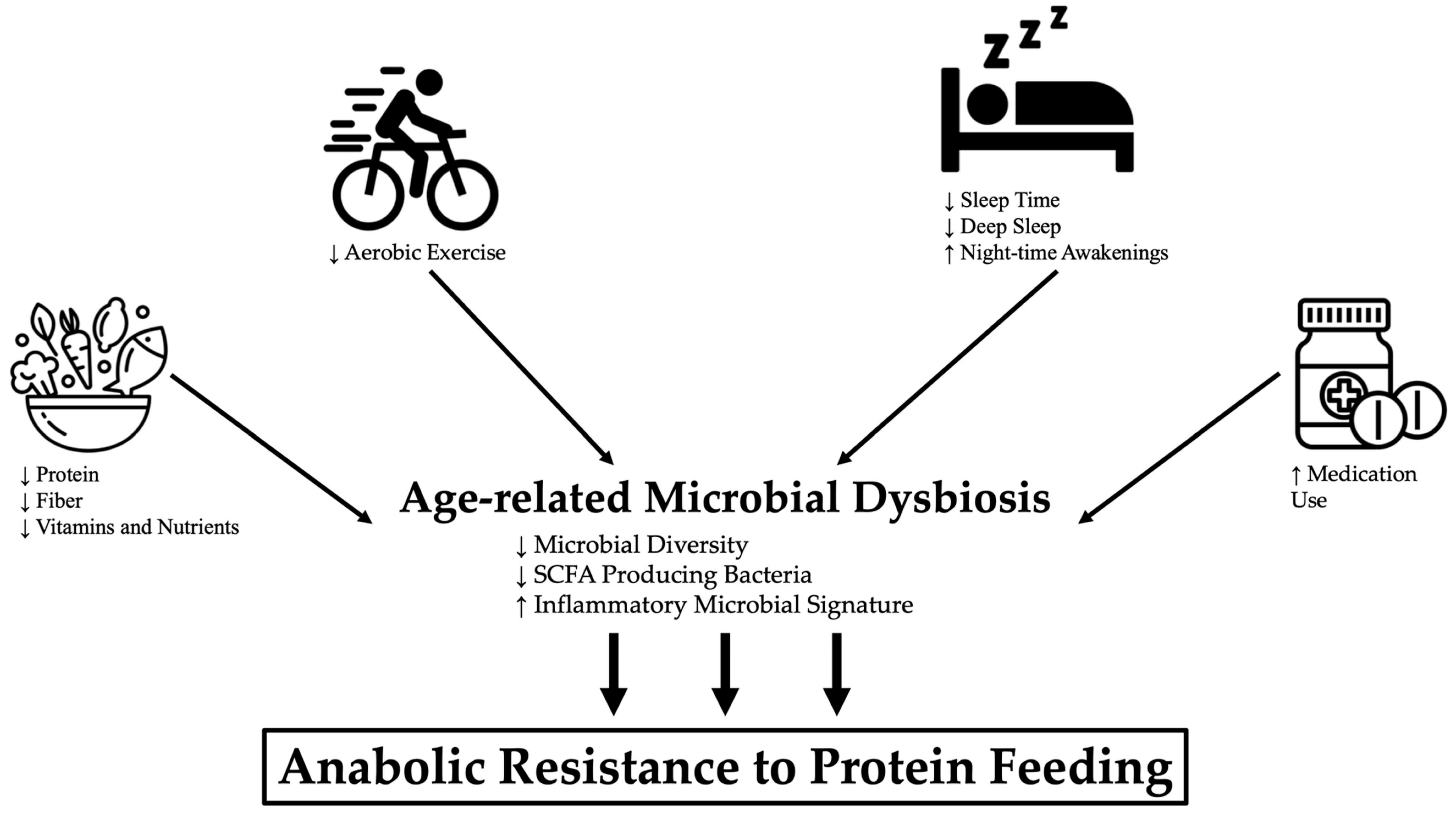 Nutrients 13 00706 g002 Nutrients 13 00706 g002