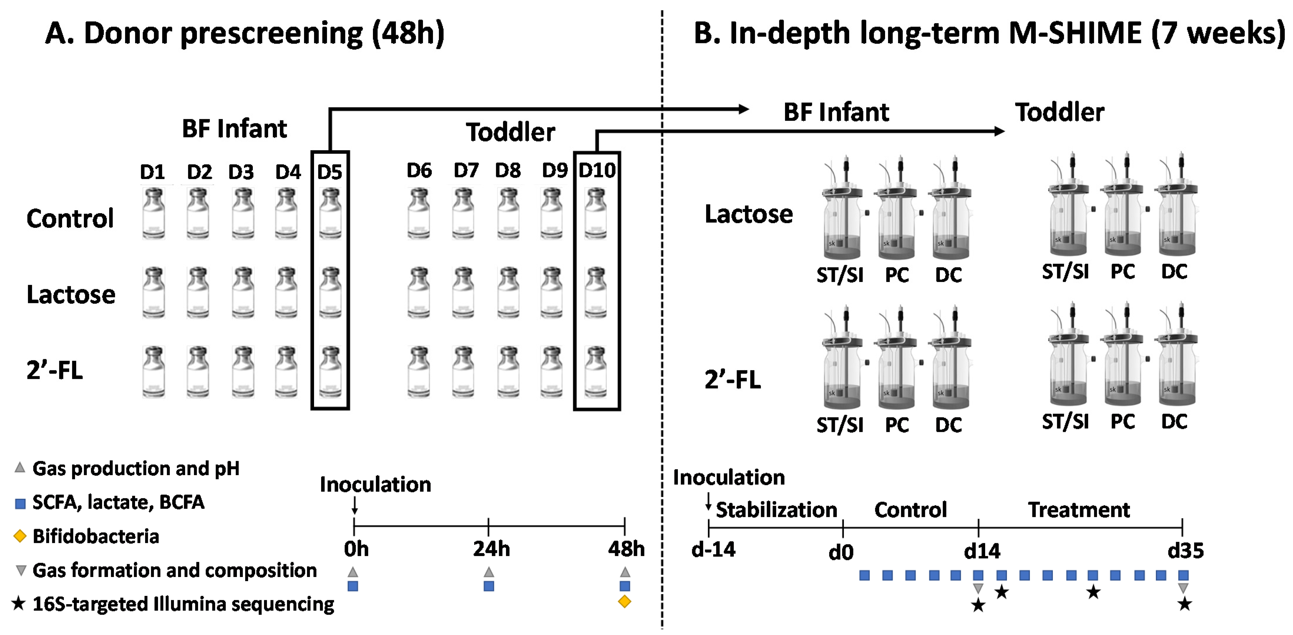 Nutrients 13 00726 g001