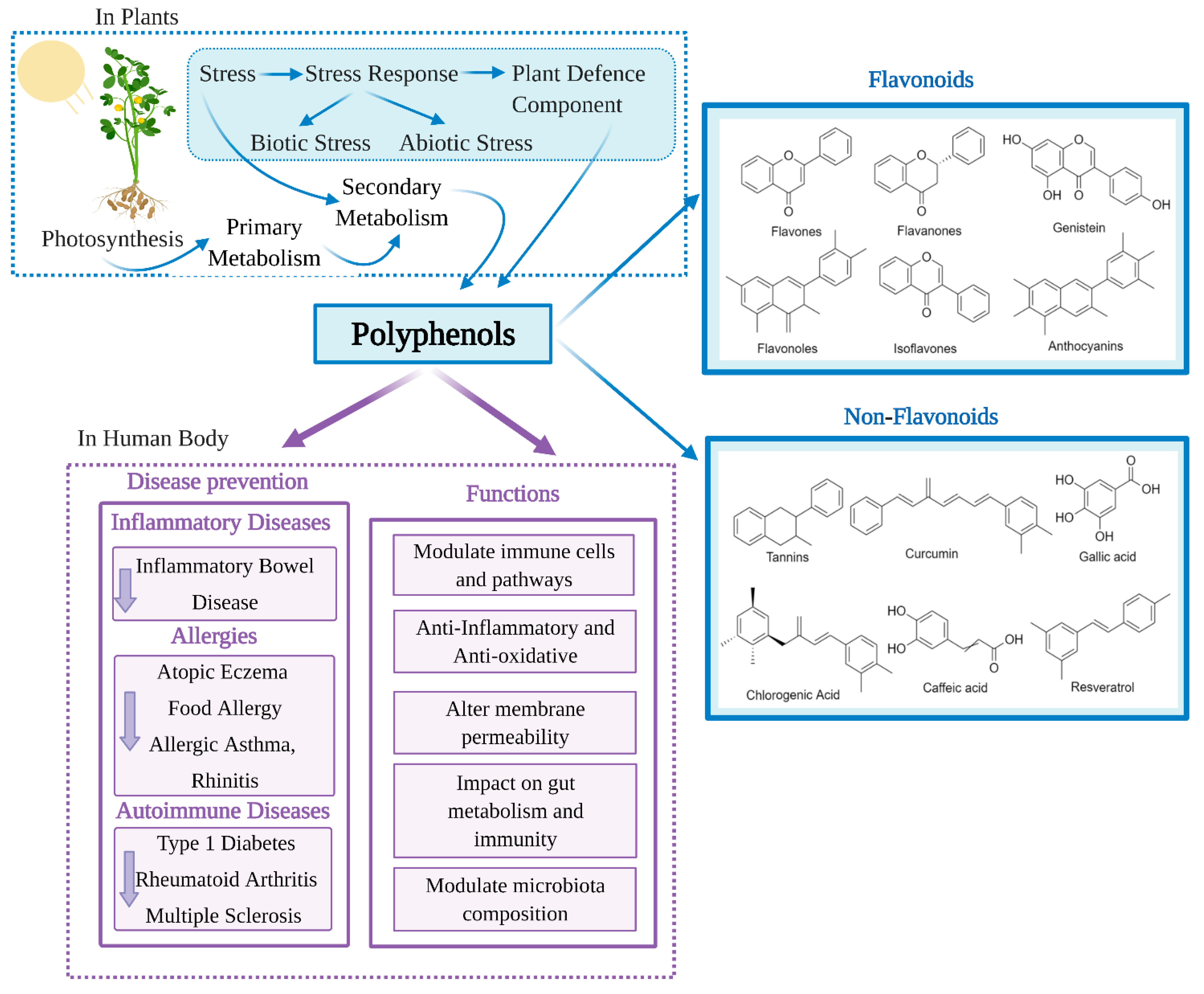 Nutrients 13 00728 g001