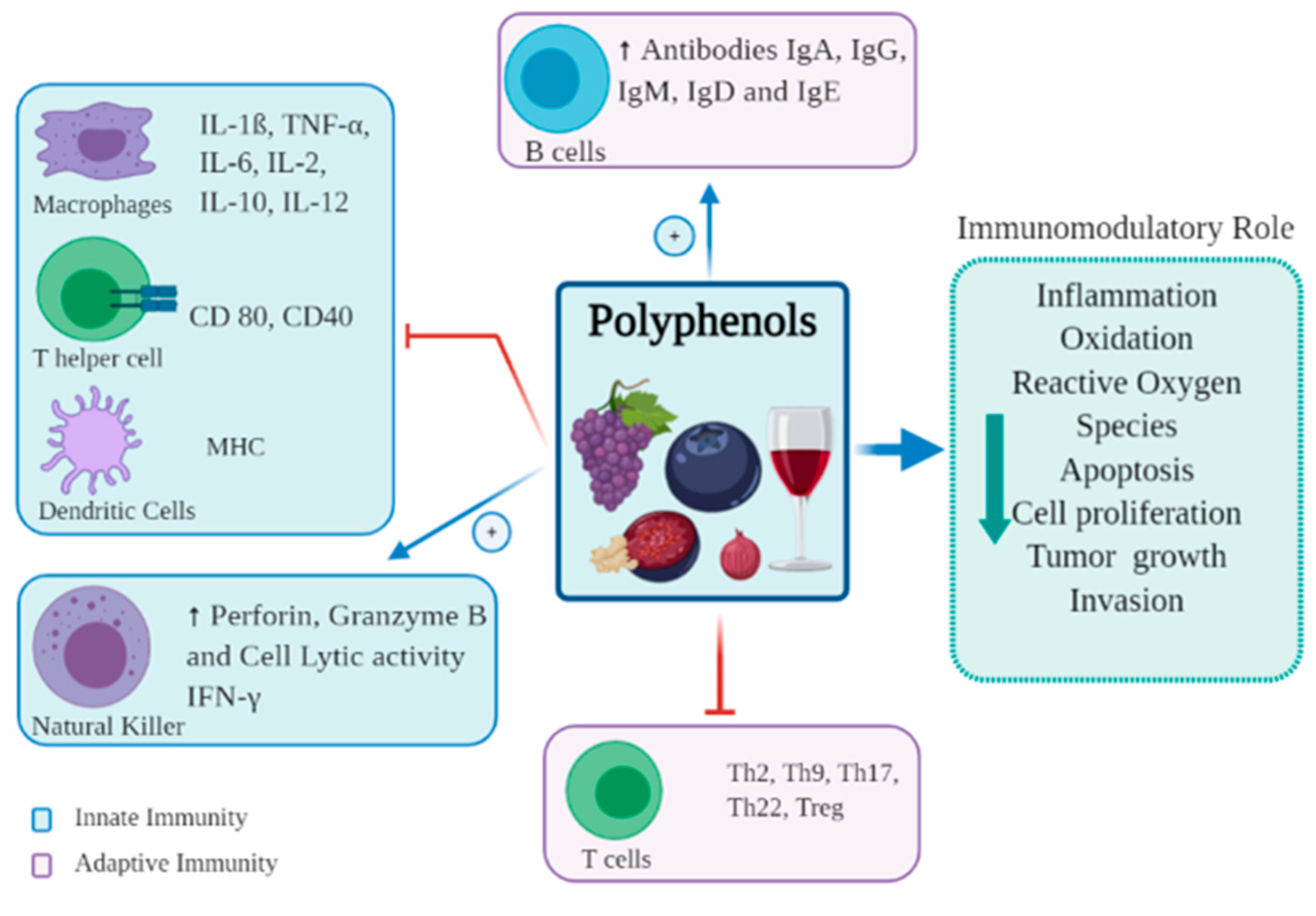 Nutrients 13 00728 g002