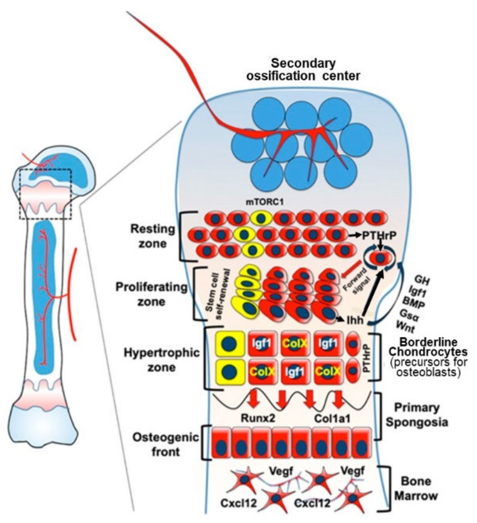 Nutrients 13 00729 g002