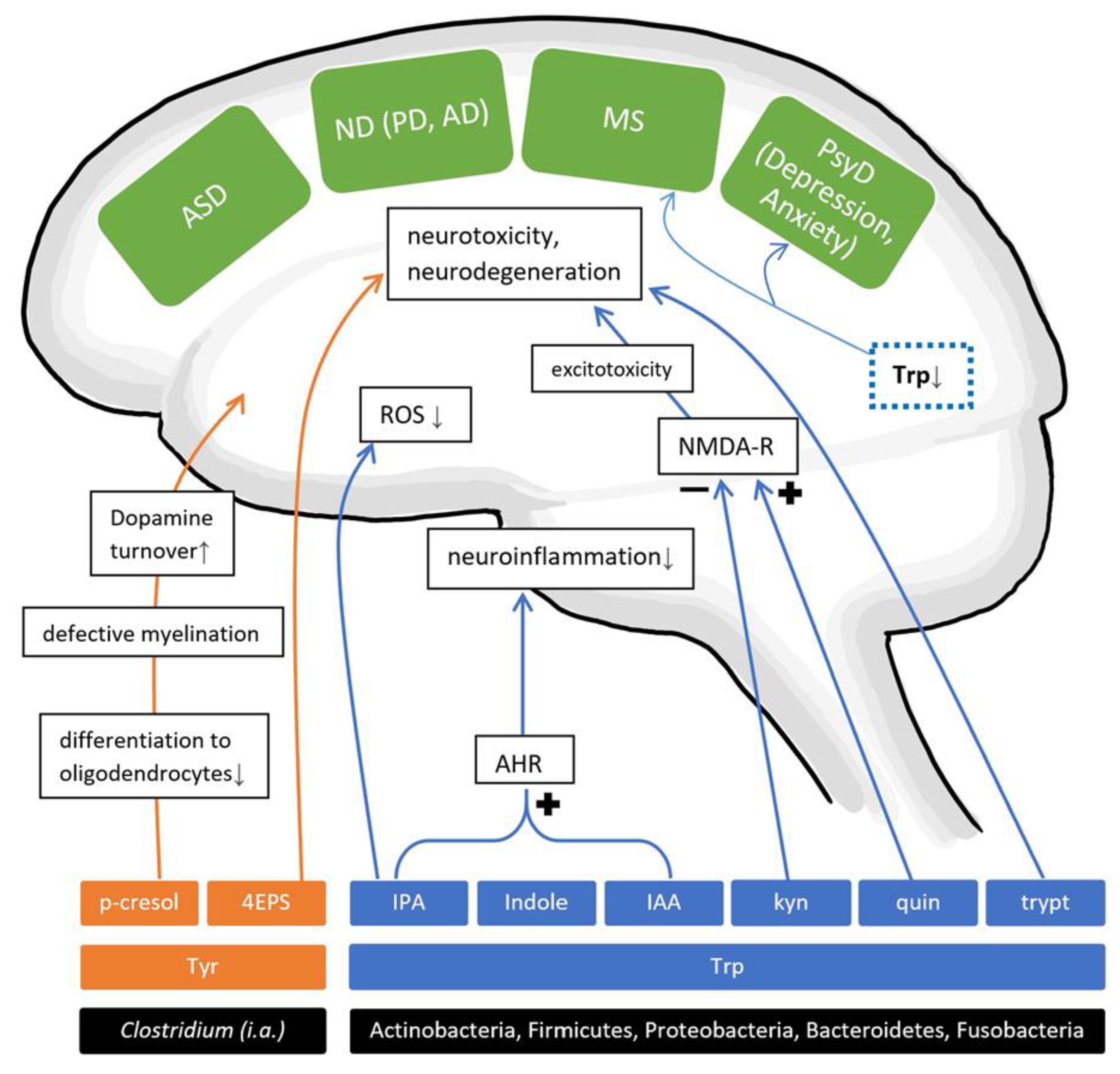 Nutrients 13 00732 g003 Nutrients 13 00732 g003
