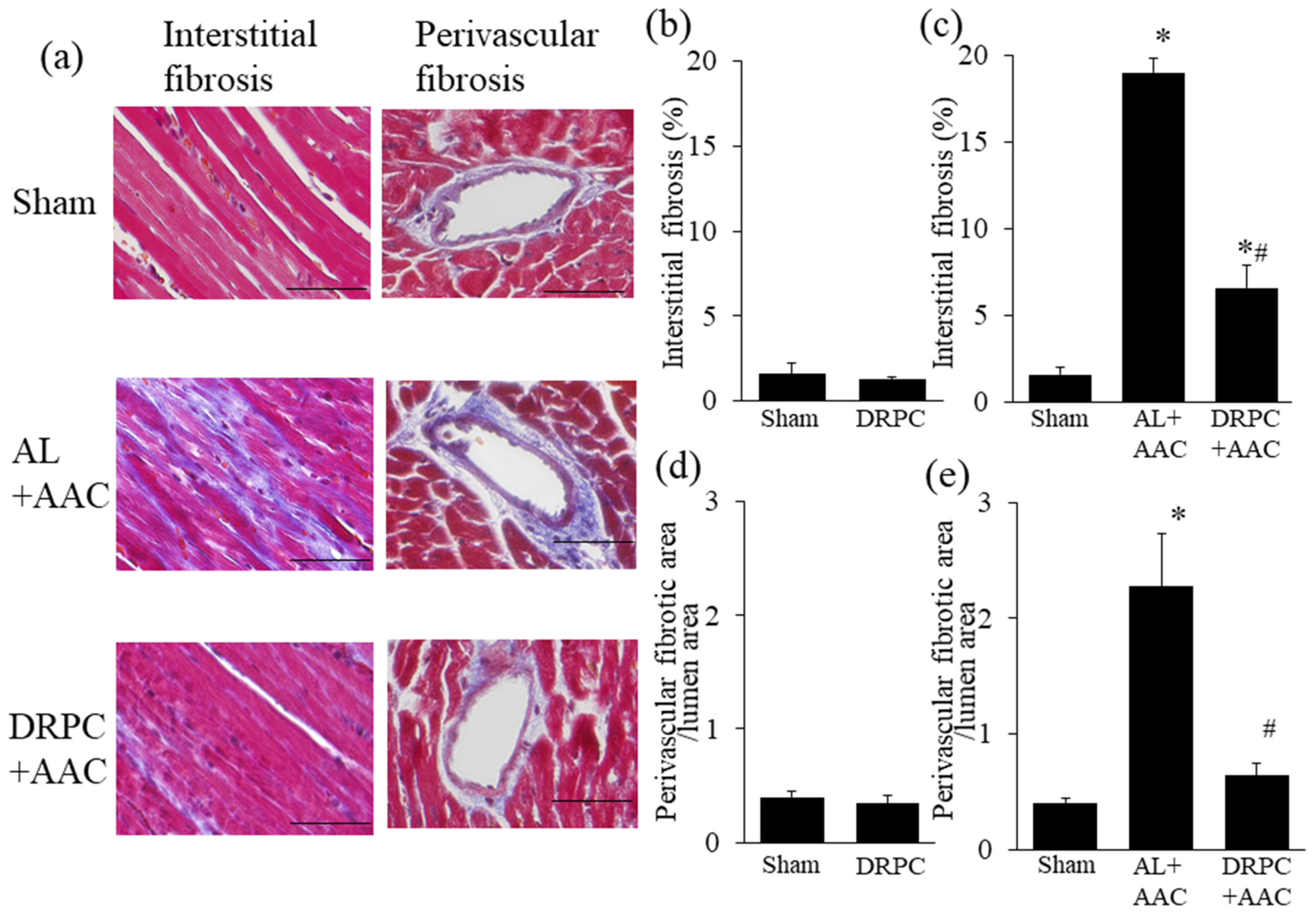 Nutrients 13 00737 g004 Nutrients 13 00737 g004