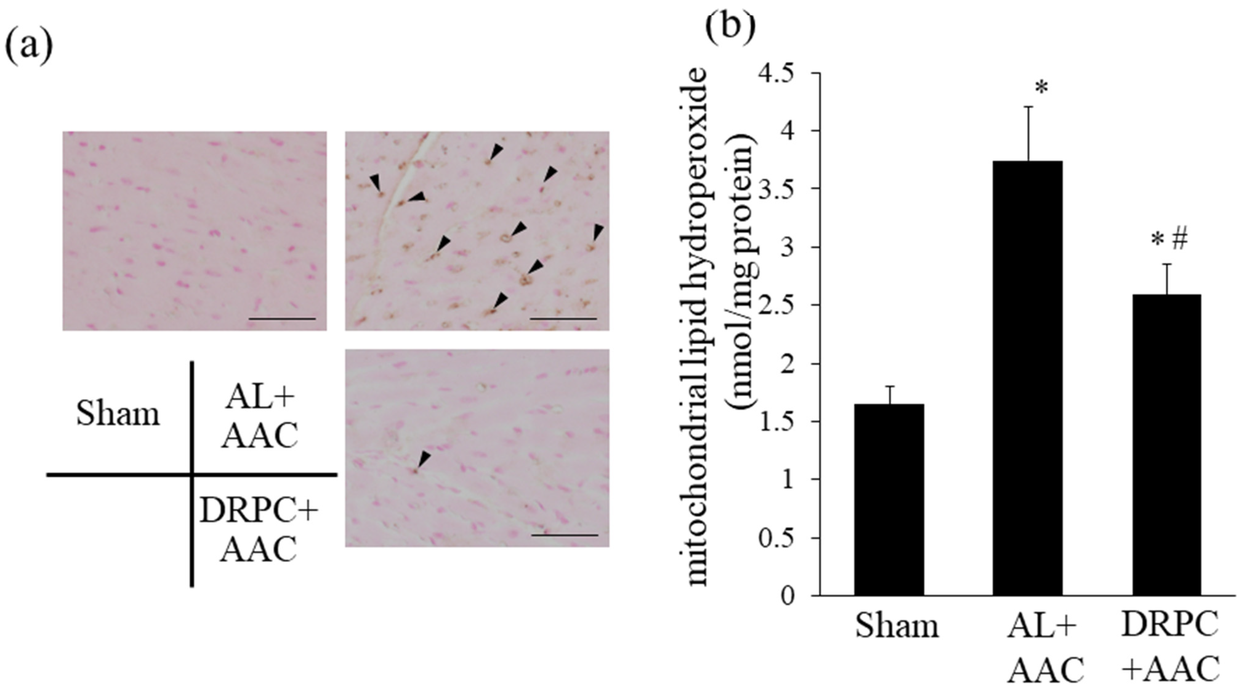 Nutrients 13 00737 g005 Nutrients 13 00737 g005