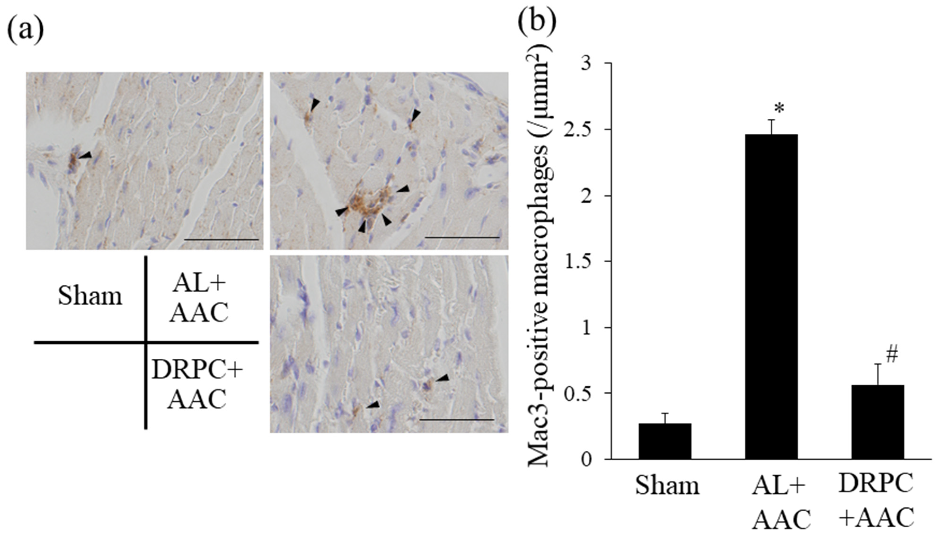 Nutrients 13 00737 g007 Nutrients 13 00737 g007