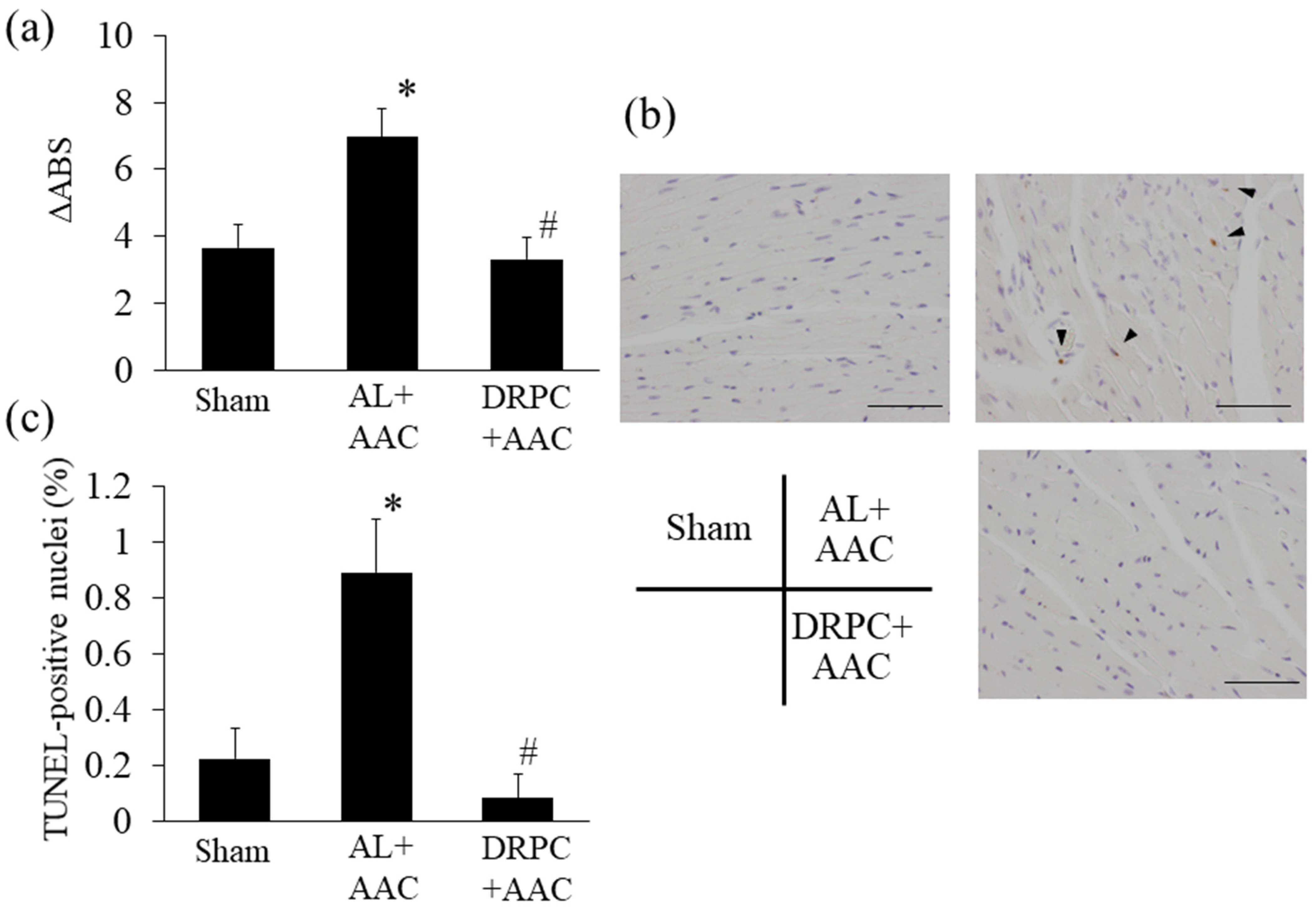 Nutrients 13 00737 g008 Nutrients 13 00737 g008