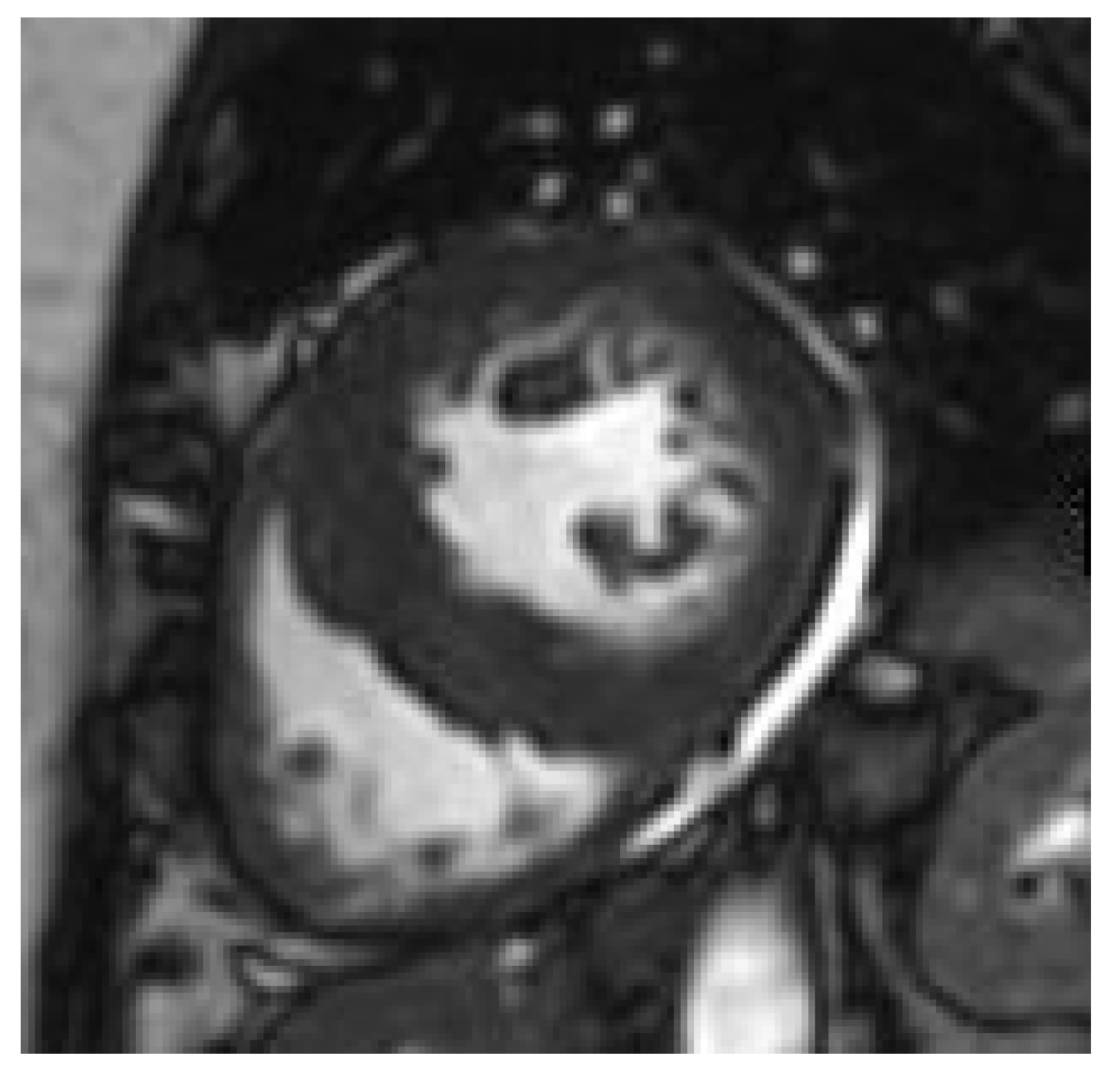 Nutrients 13 00744 g001