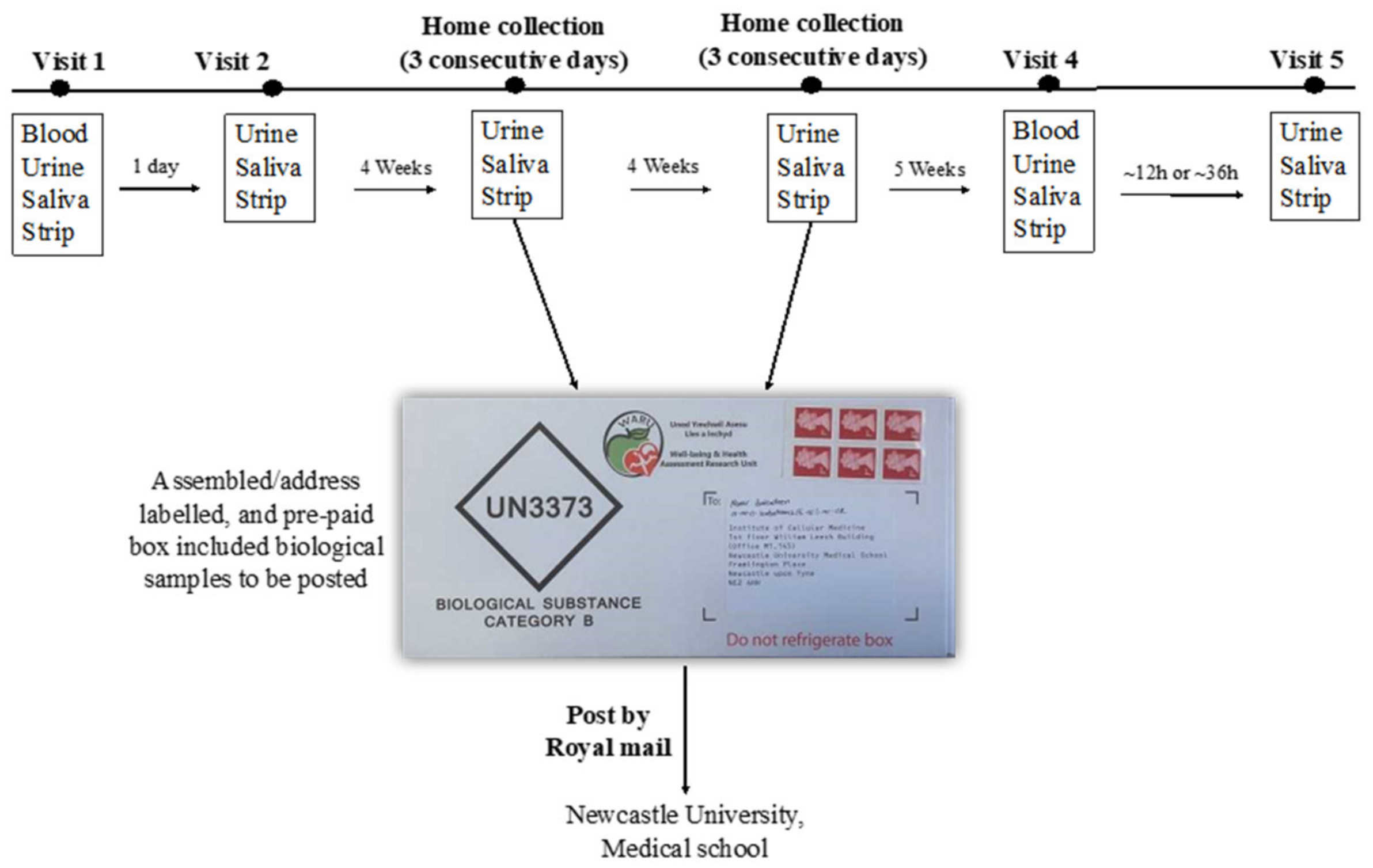 Nutrients 13 00769 g001