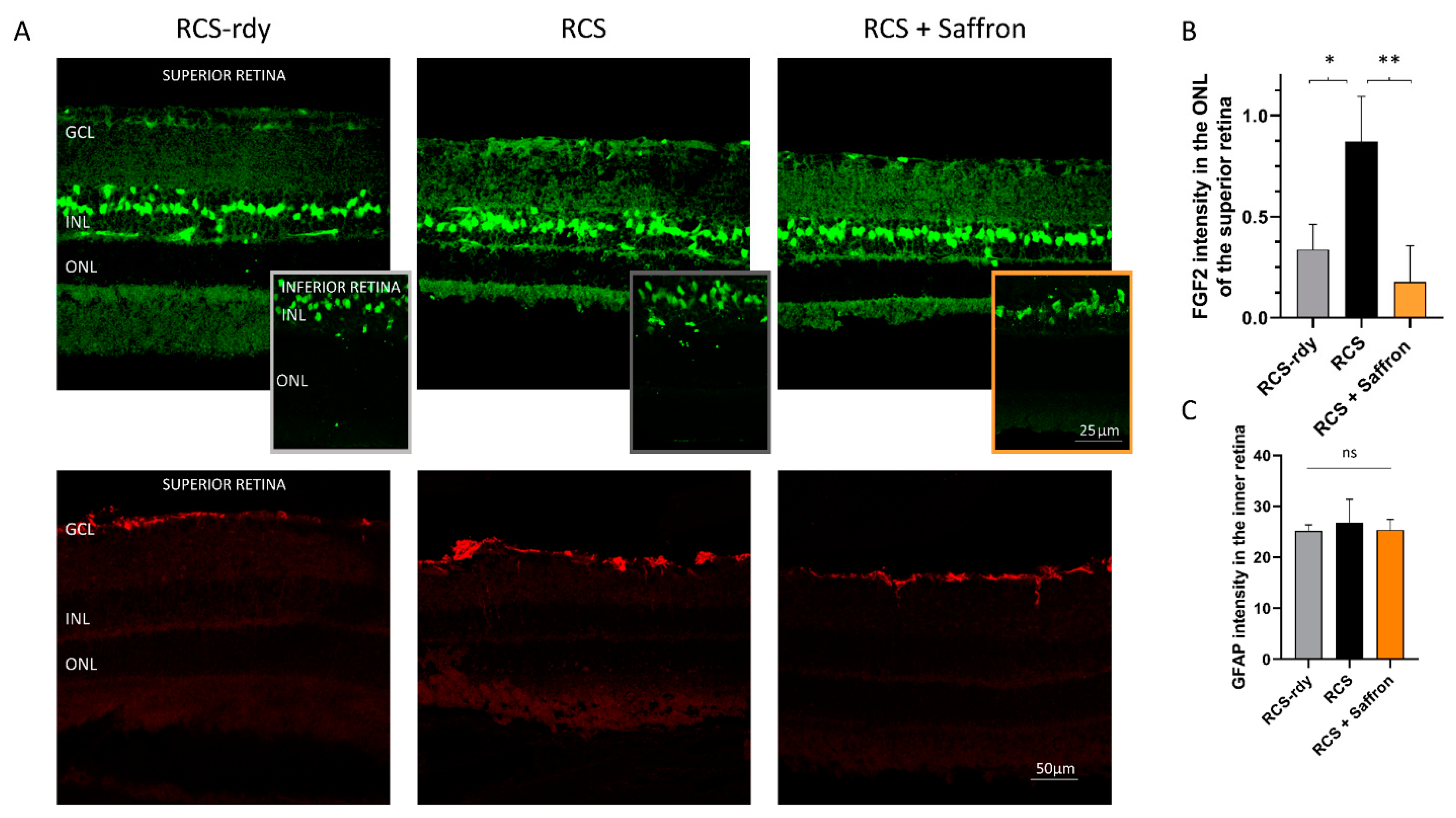Nutrients 13 00770 g003 Nutrients 13 00770 g003