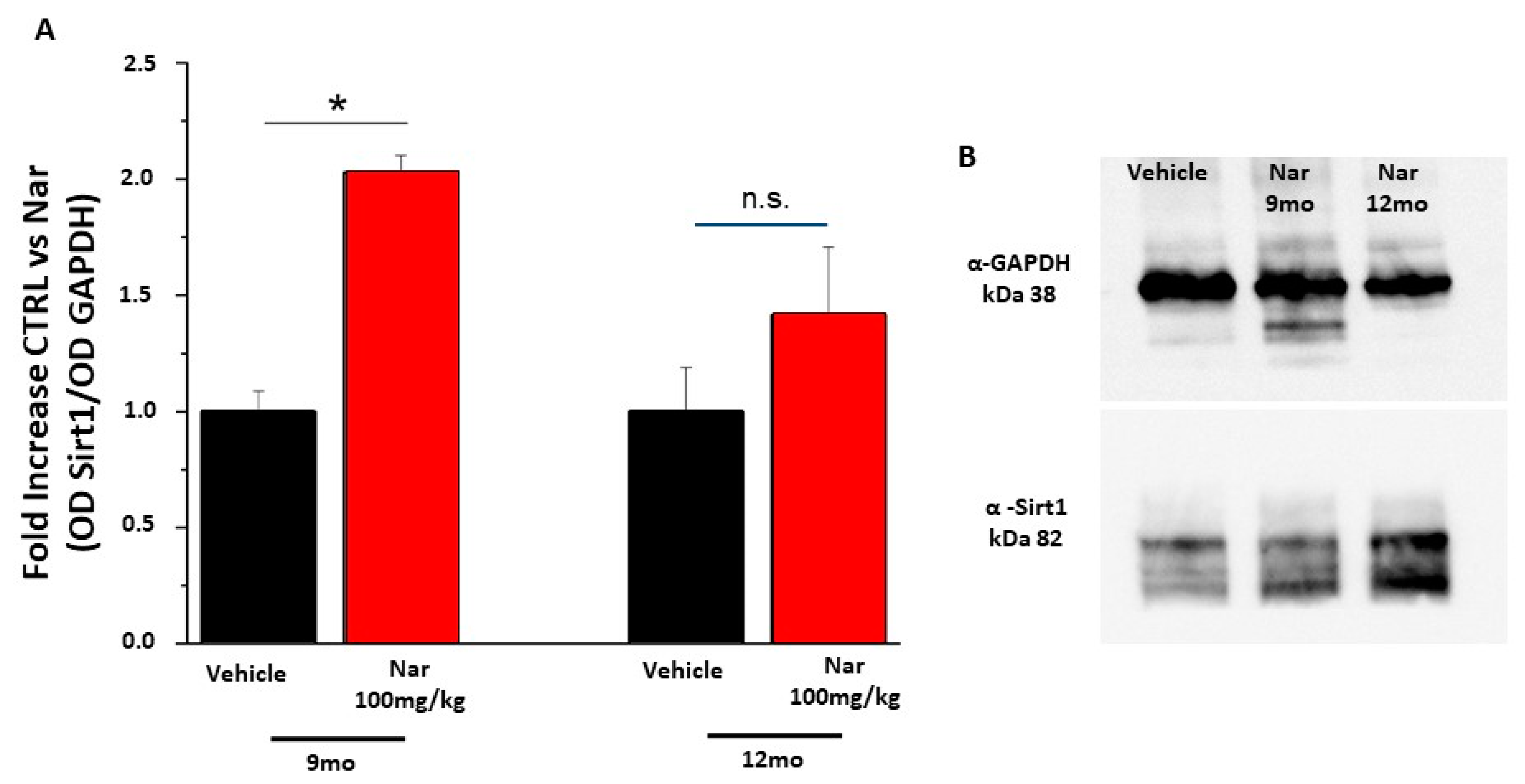 Nutrients 13 00770 g010 Nutrients 13 00770 g010
