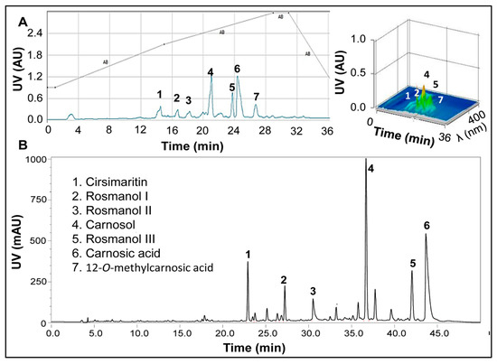 Pharmacokinetic Analysis of Carnosic Acid and Carnosol in