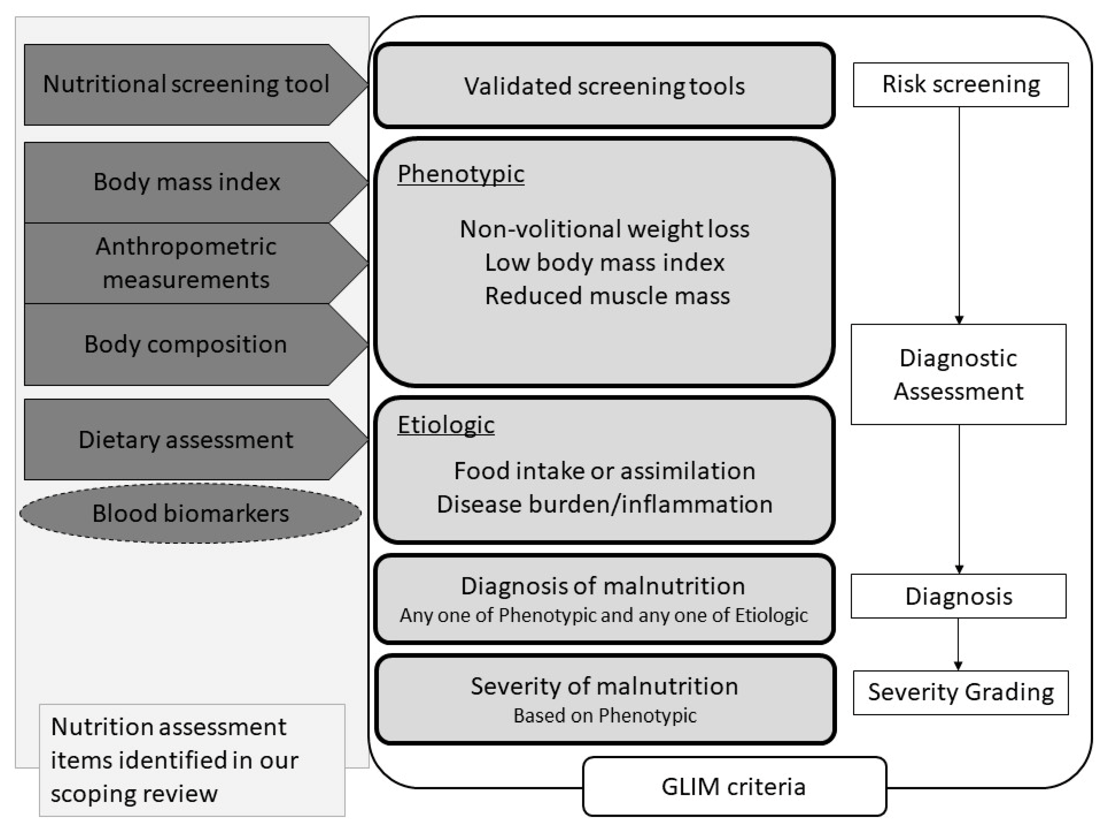 Nutrients Free FullText Nutritional Assessment in Adult Patients