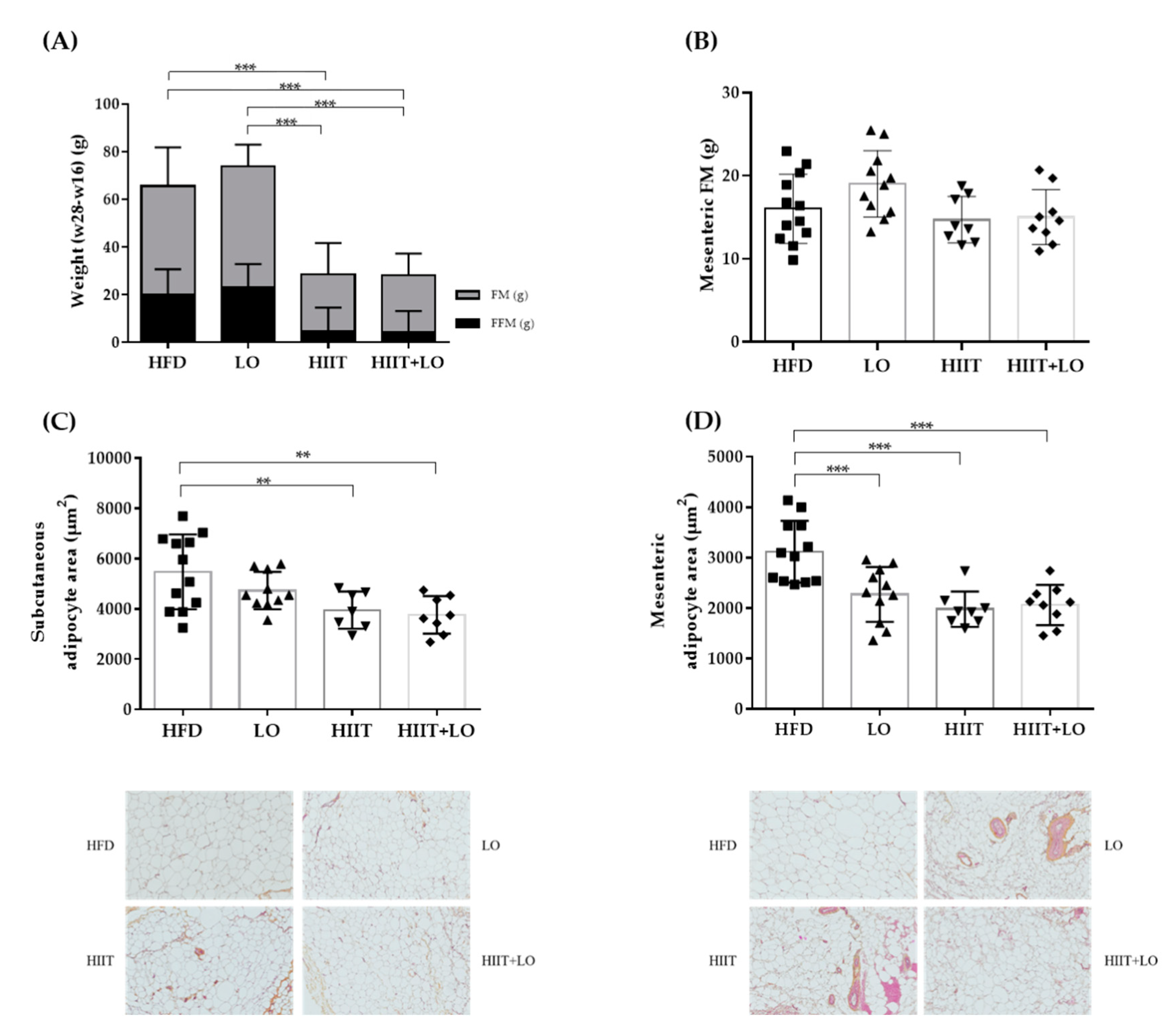 Nutrients 13 00788 g004 Nutrients 13 00788 g004