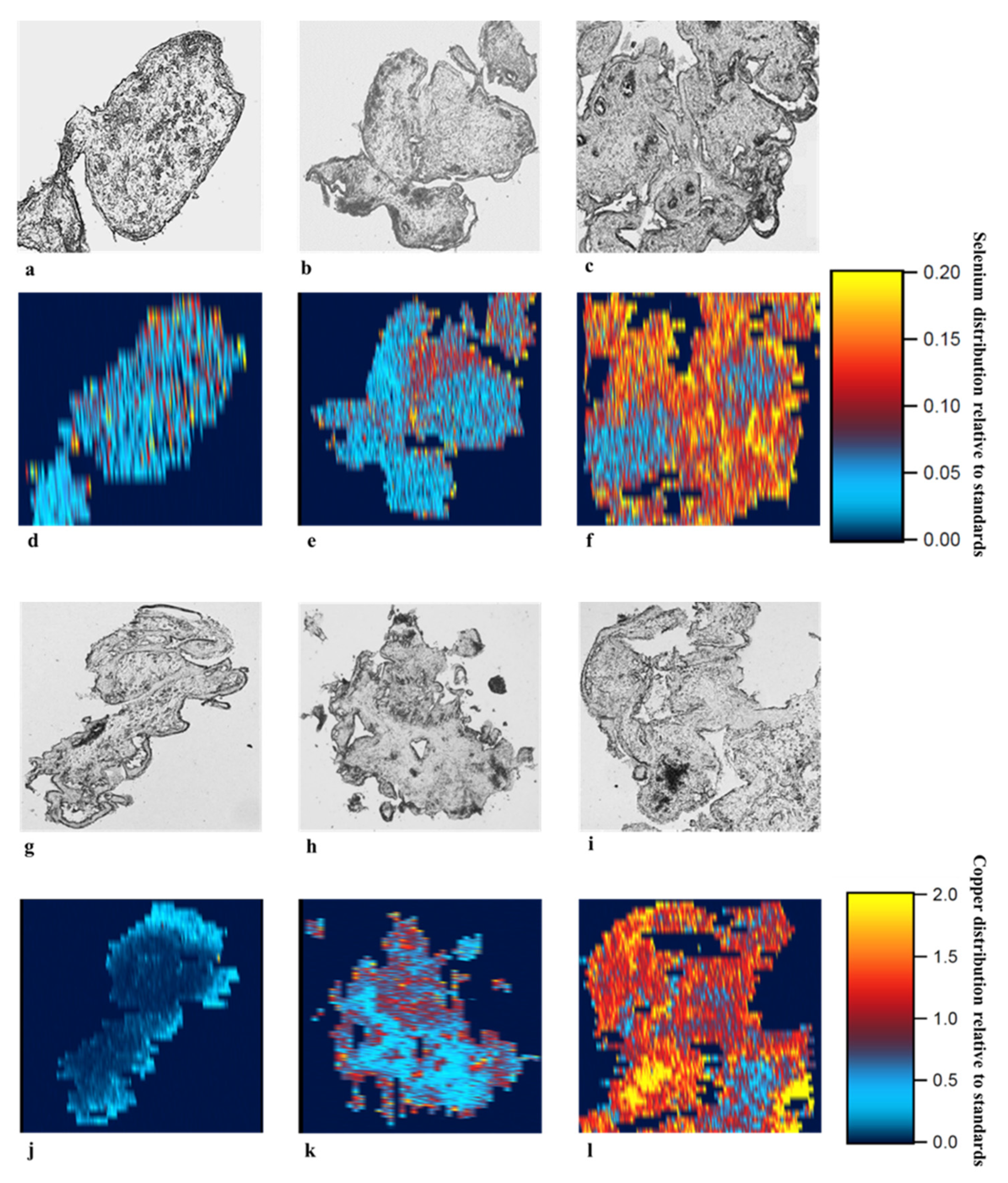 Nutrients 13 00800 g001 Nutrients 13 00800 g001