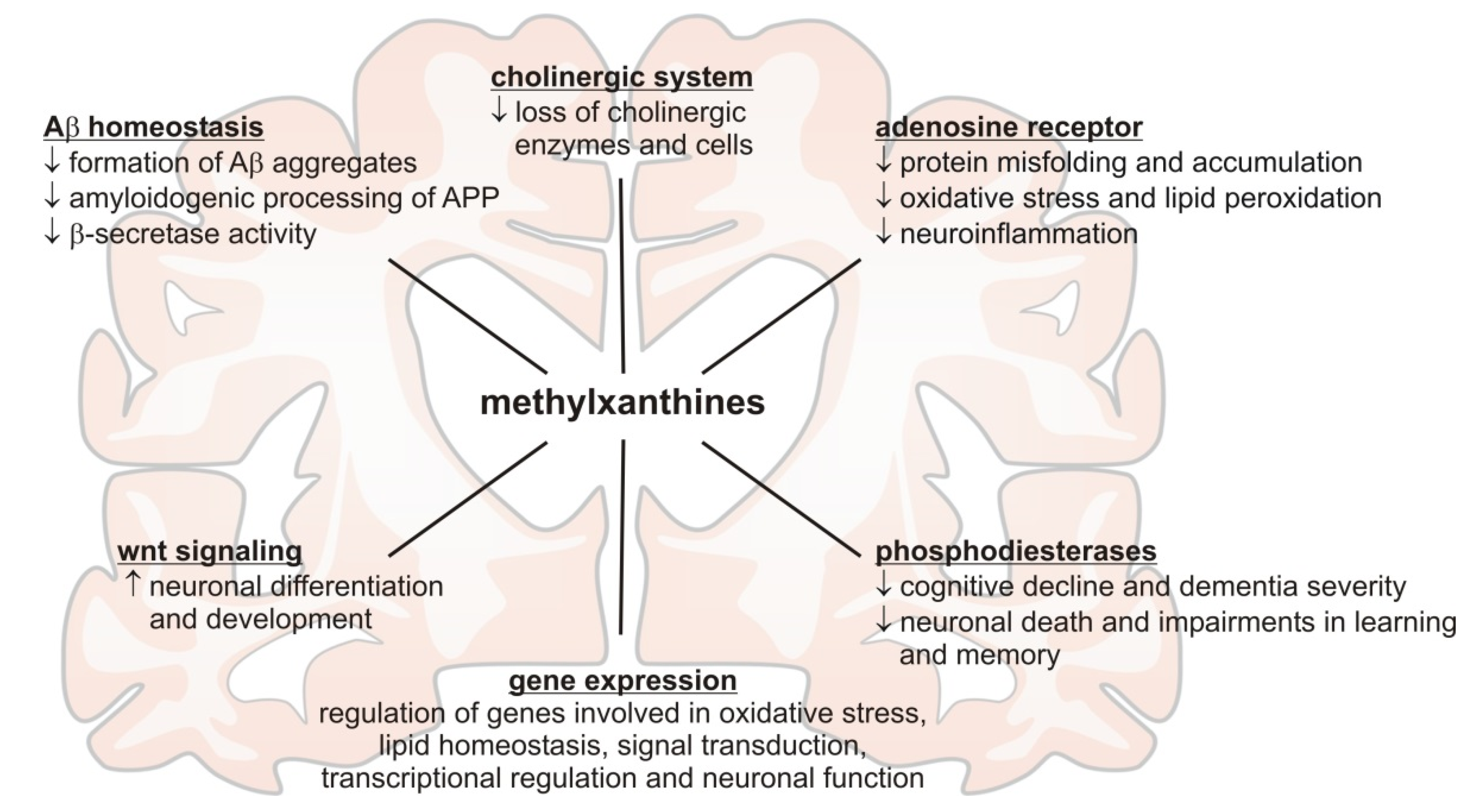 Nutrients 13 00803 g001