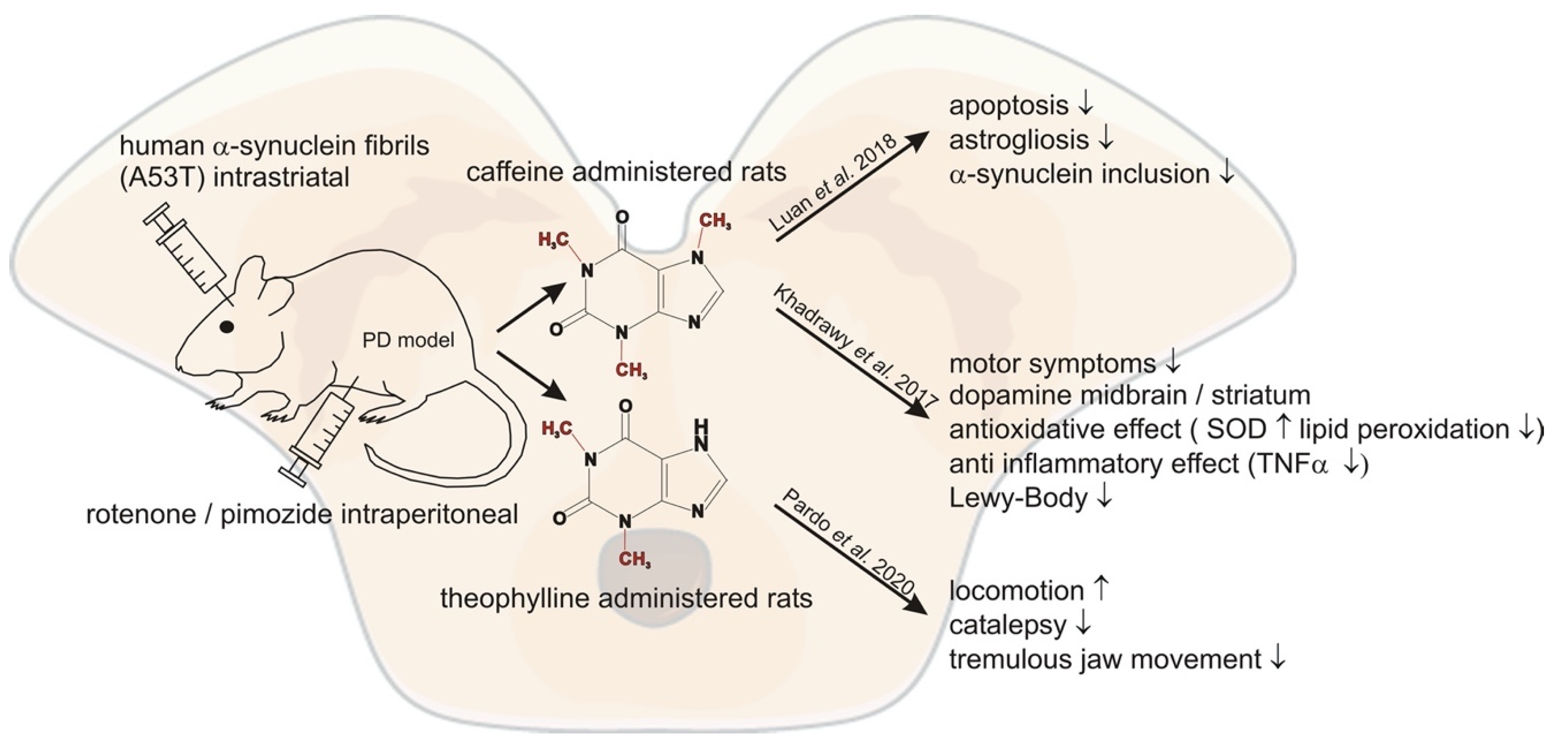 Nutrients 13 00803 g002