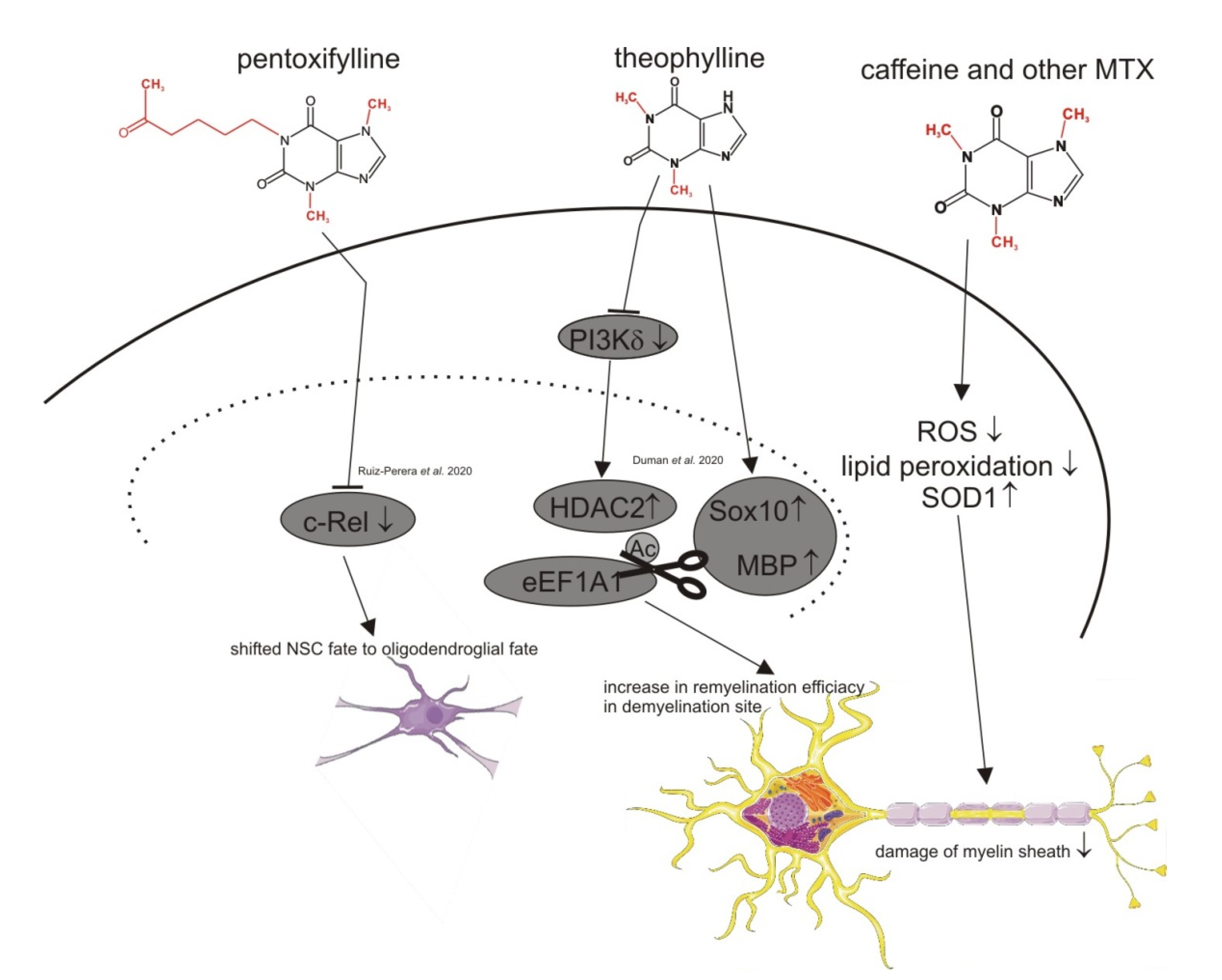 Nutrients 13 00803 g003