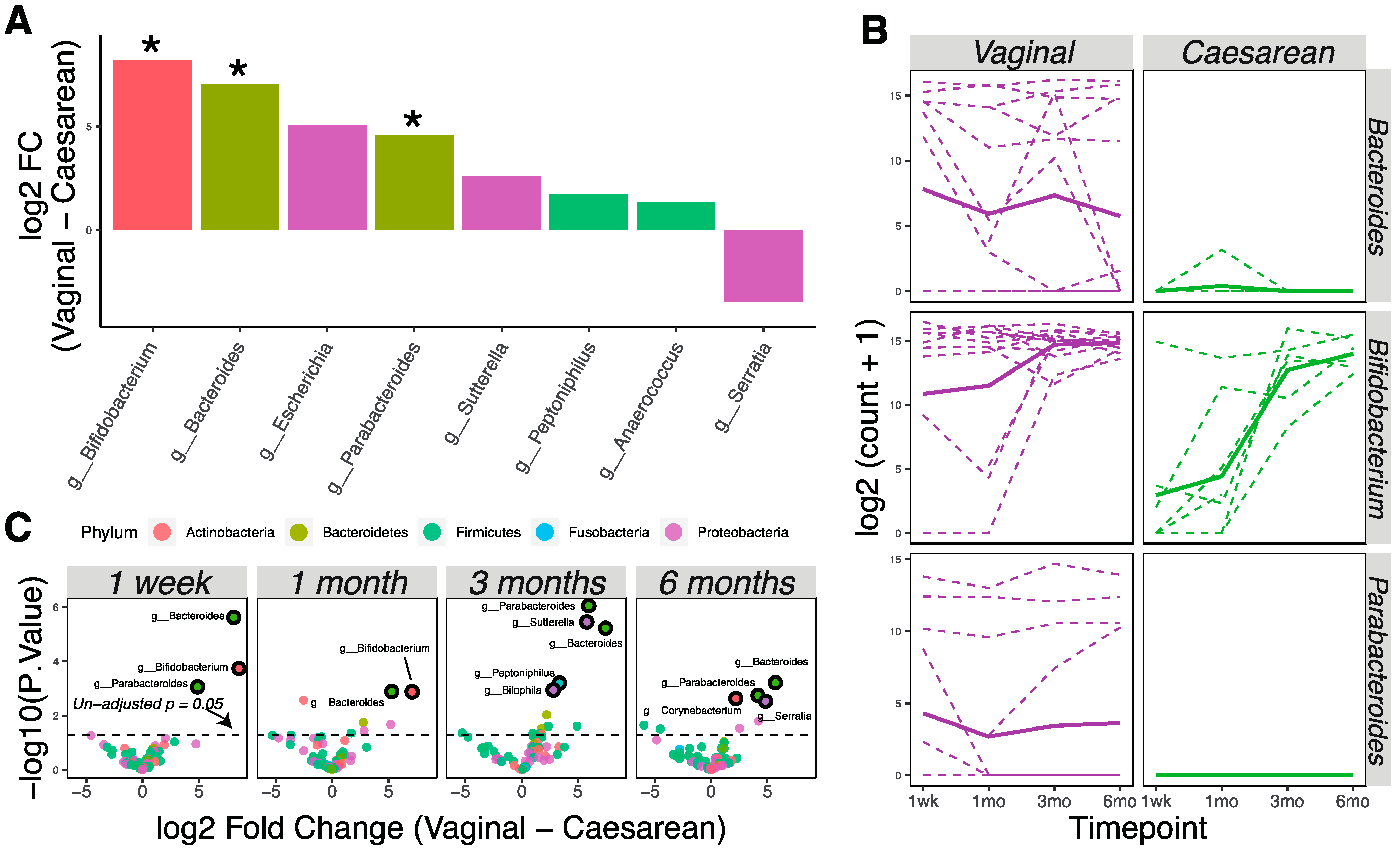 Nutrients 13 00807 g002 Nutrients 13 00807 g002