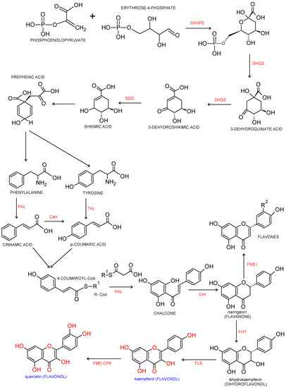 Nutrients 13 00845 g001 550