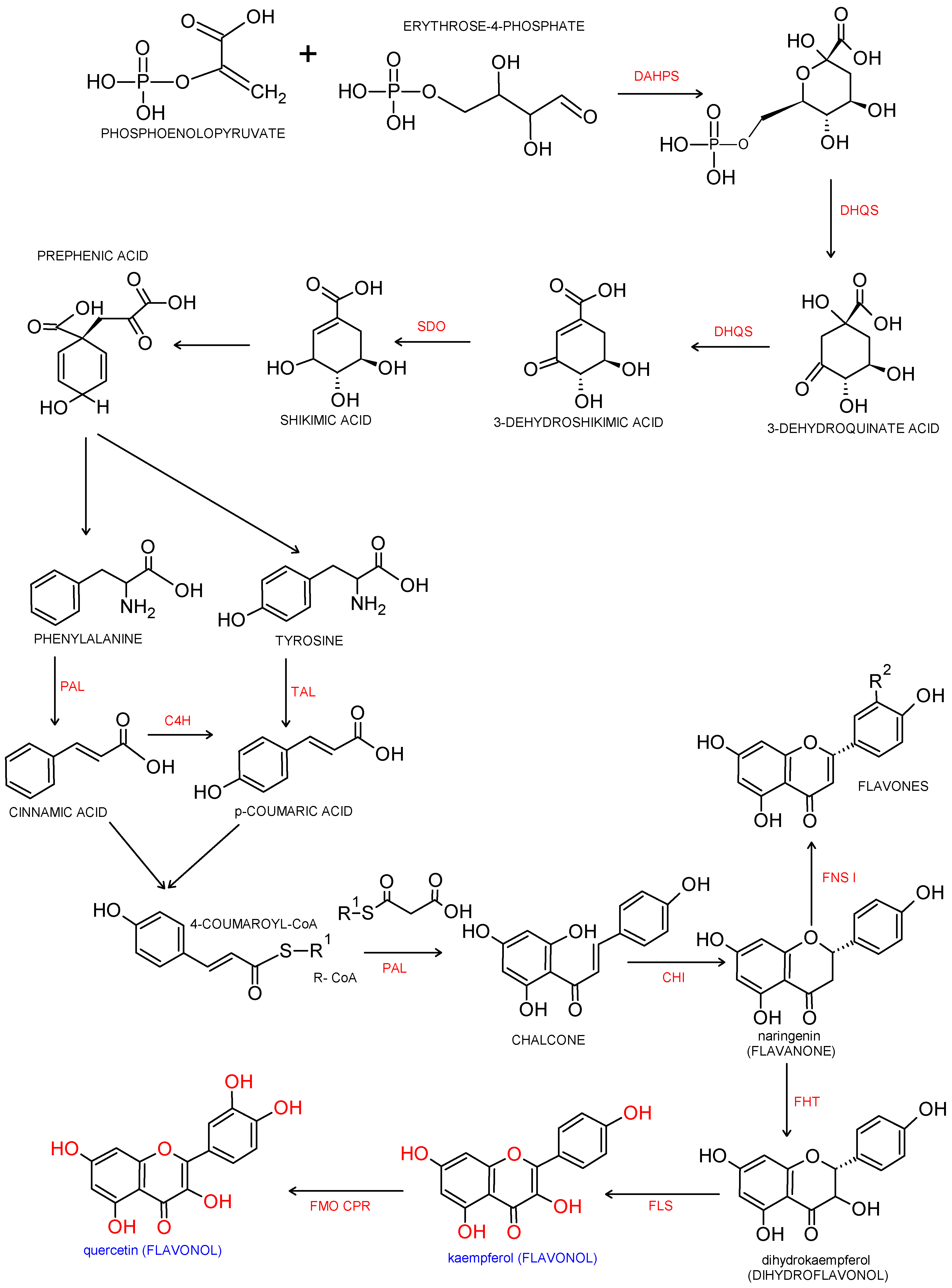 Nutrients 13 00845 g001
