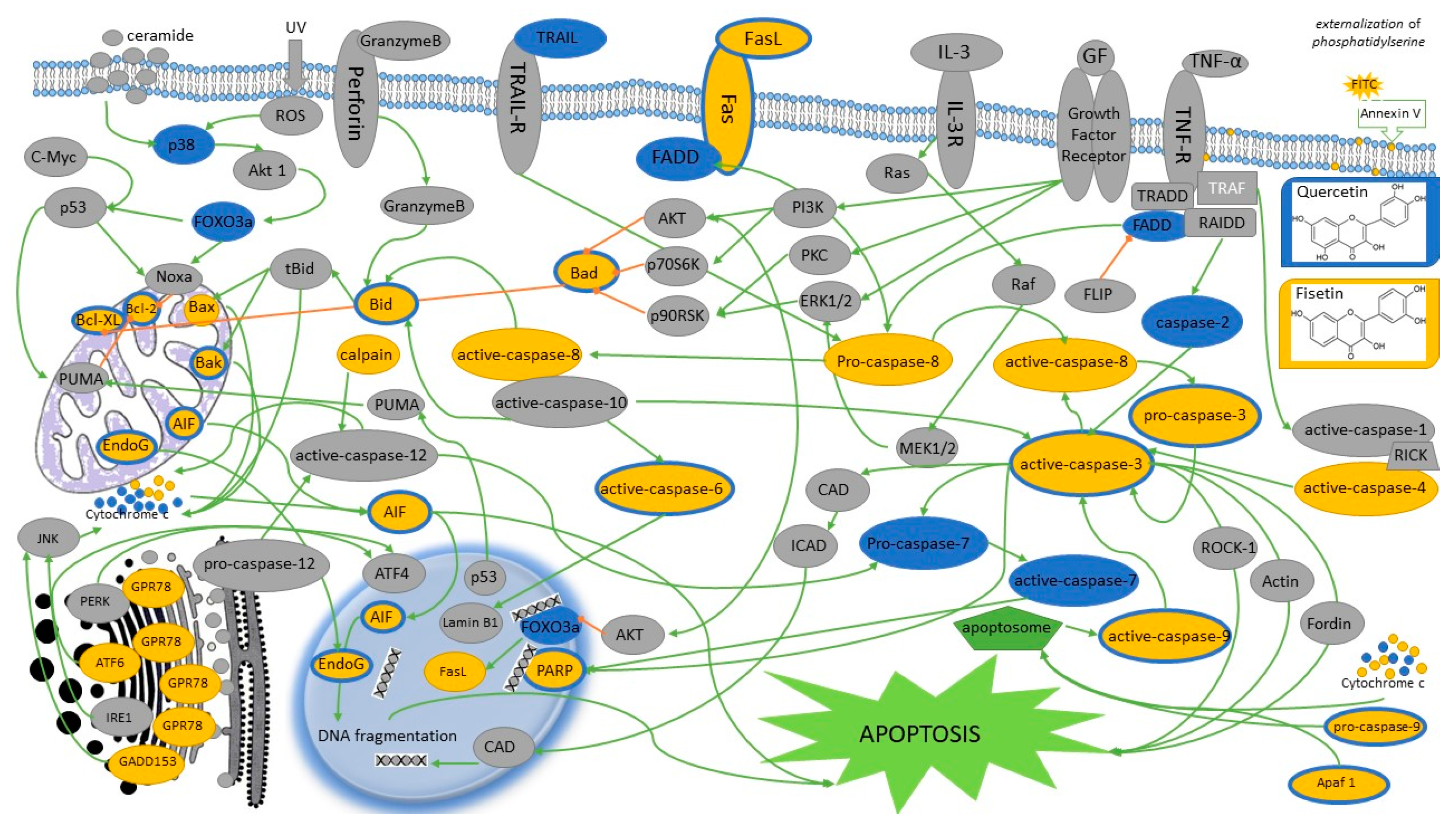 Nutrients 13 00845 g004