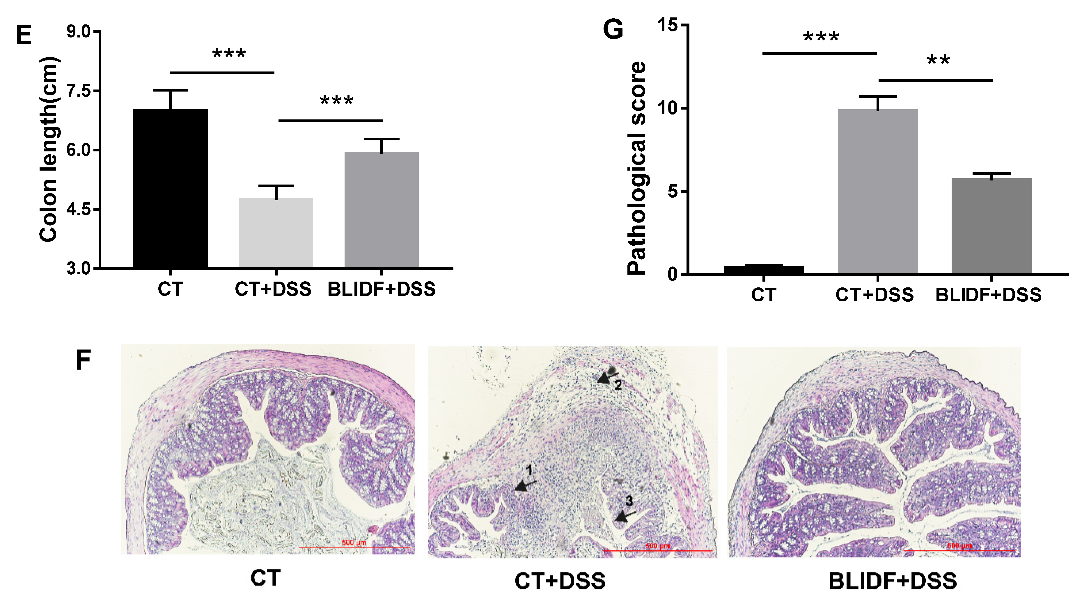 Nutrients 13 00846 g001b