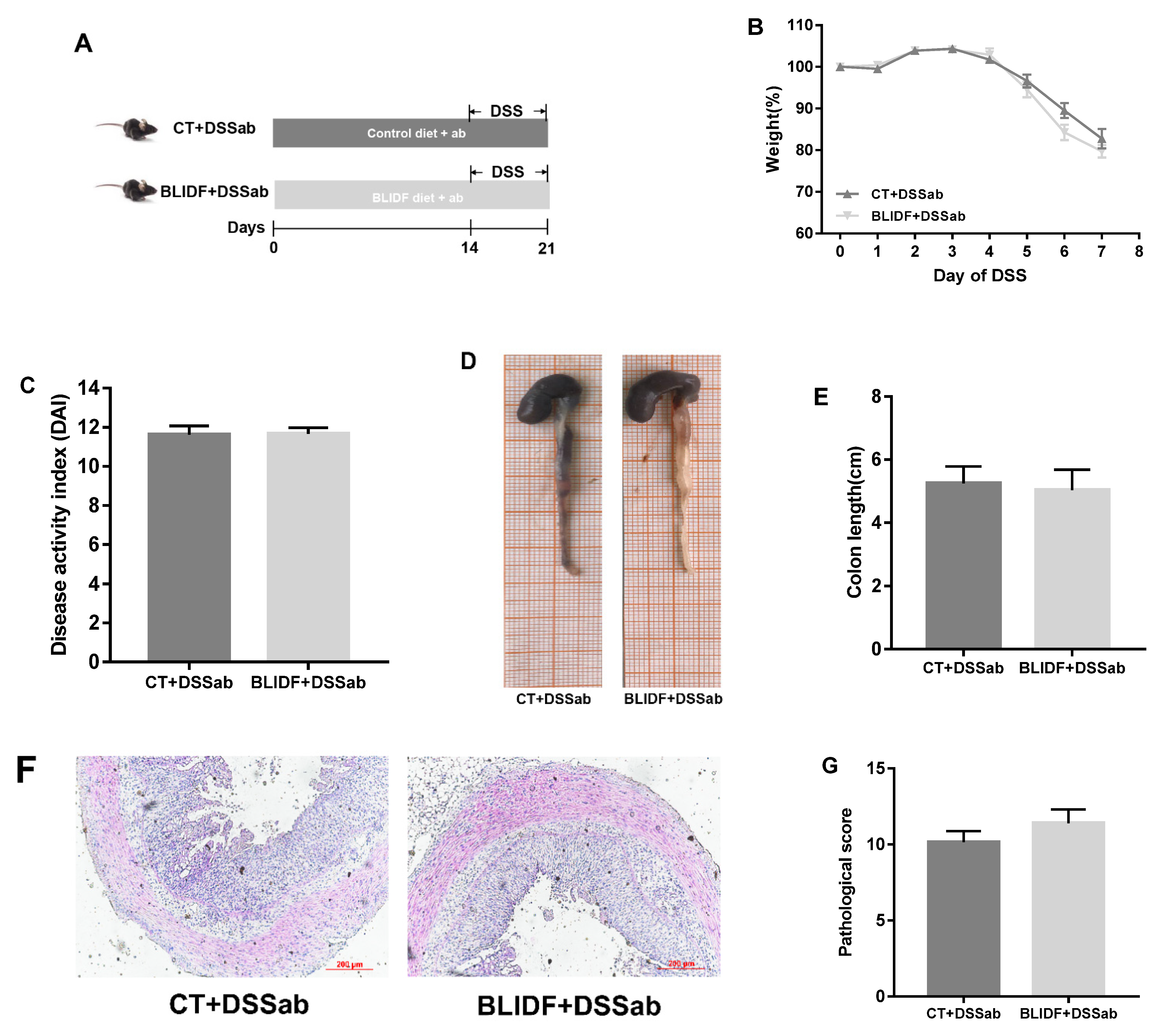 Nutrients 13 00846 g005