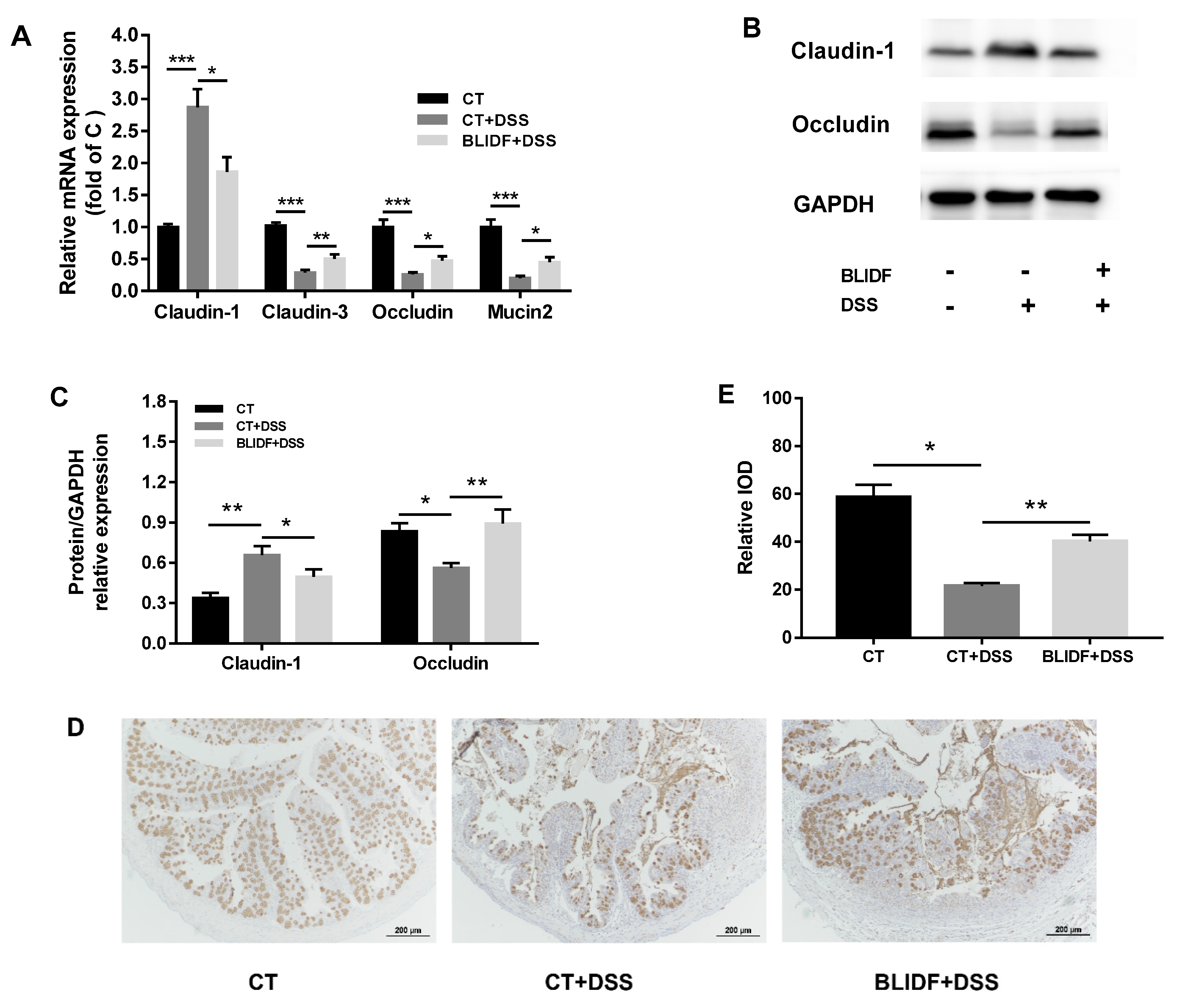Nutrients 13 00846 g007