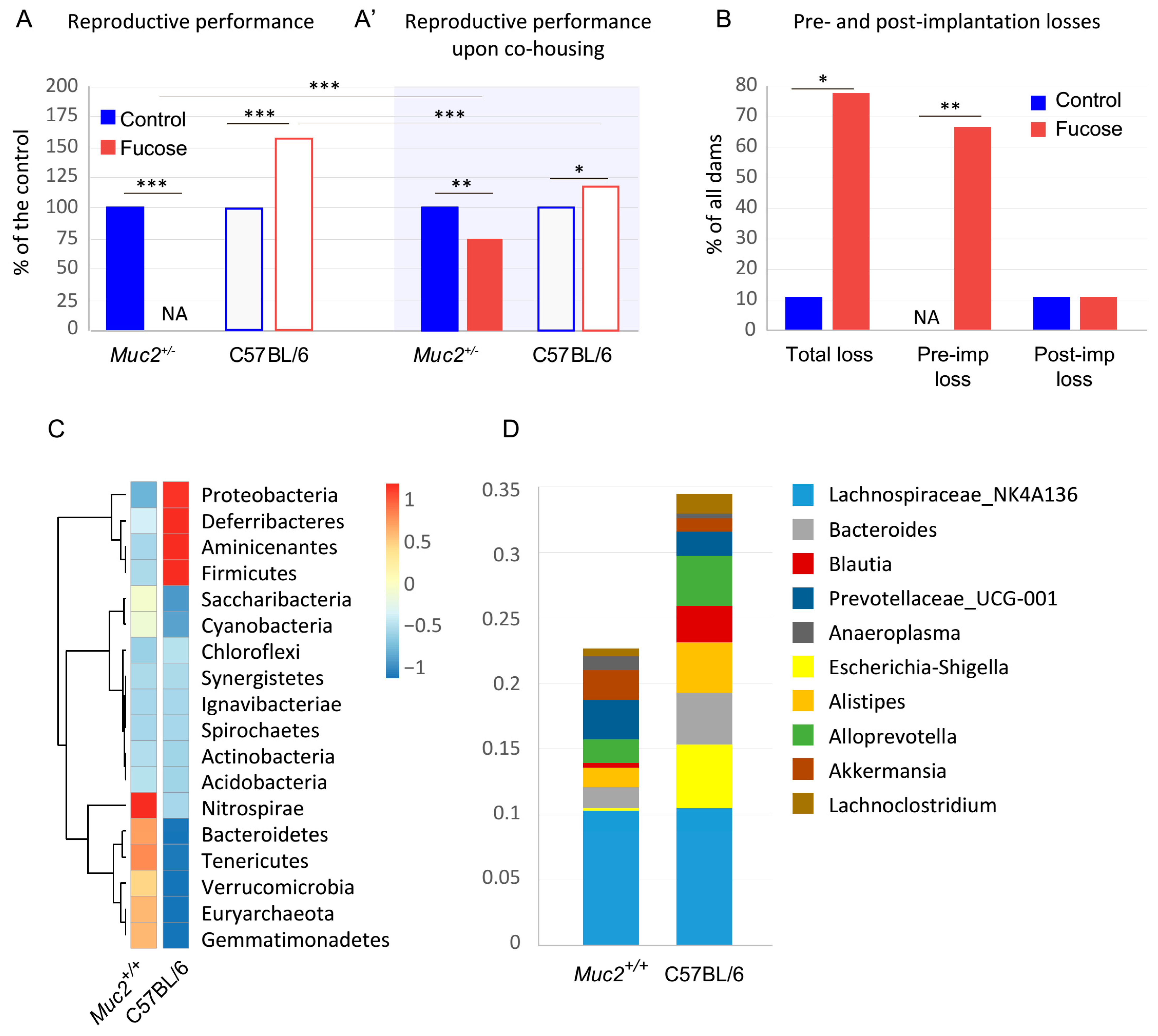 Nutrients 13 00855 g001 Nutrients 13 00855 g001