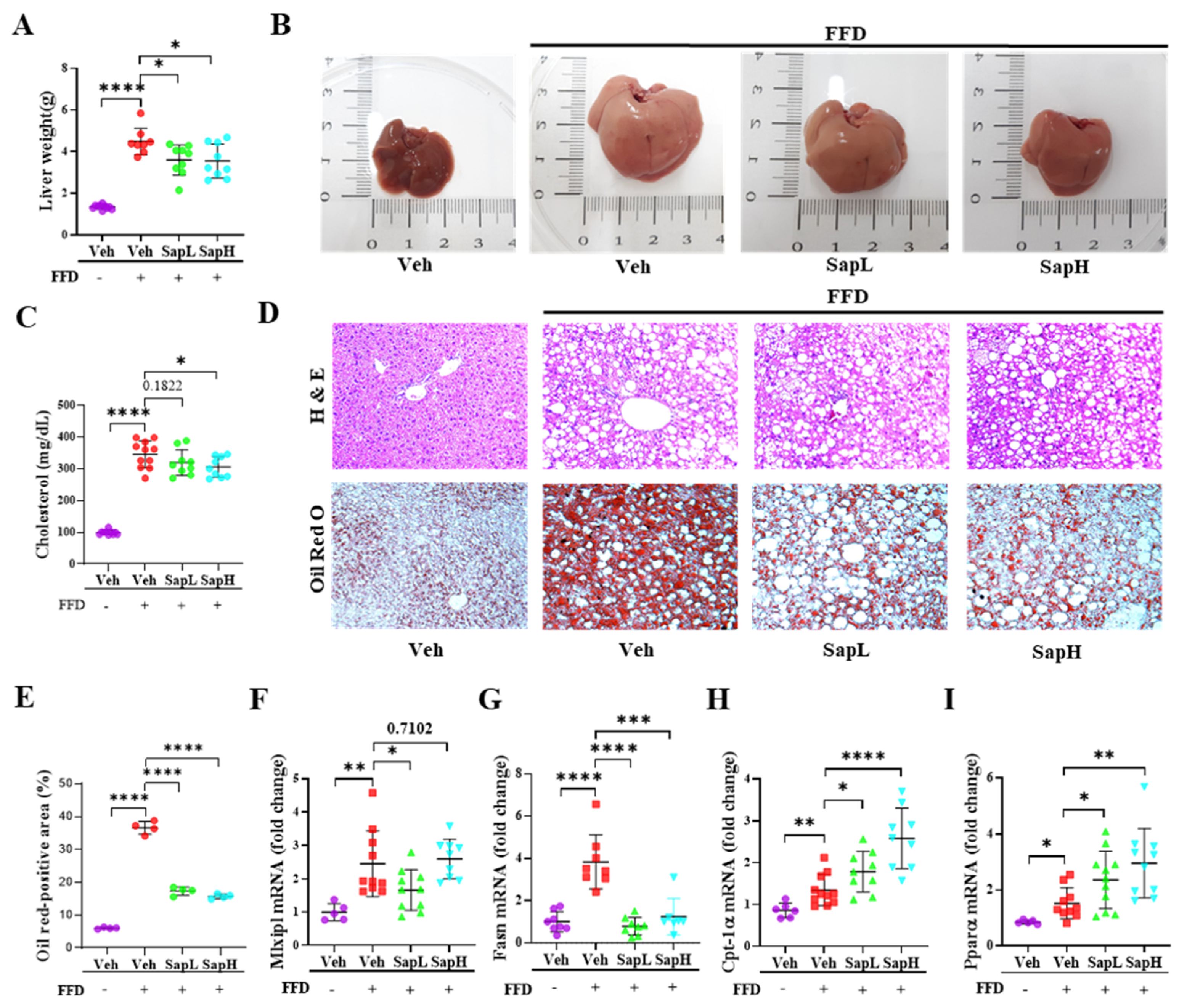 Nutrients 13 00856 g001