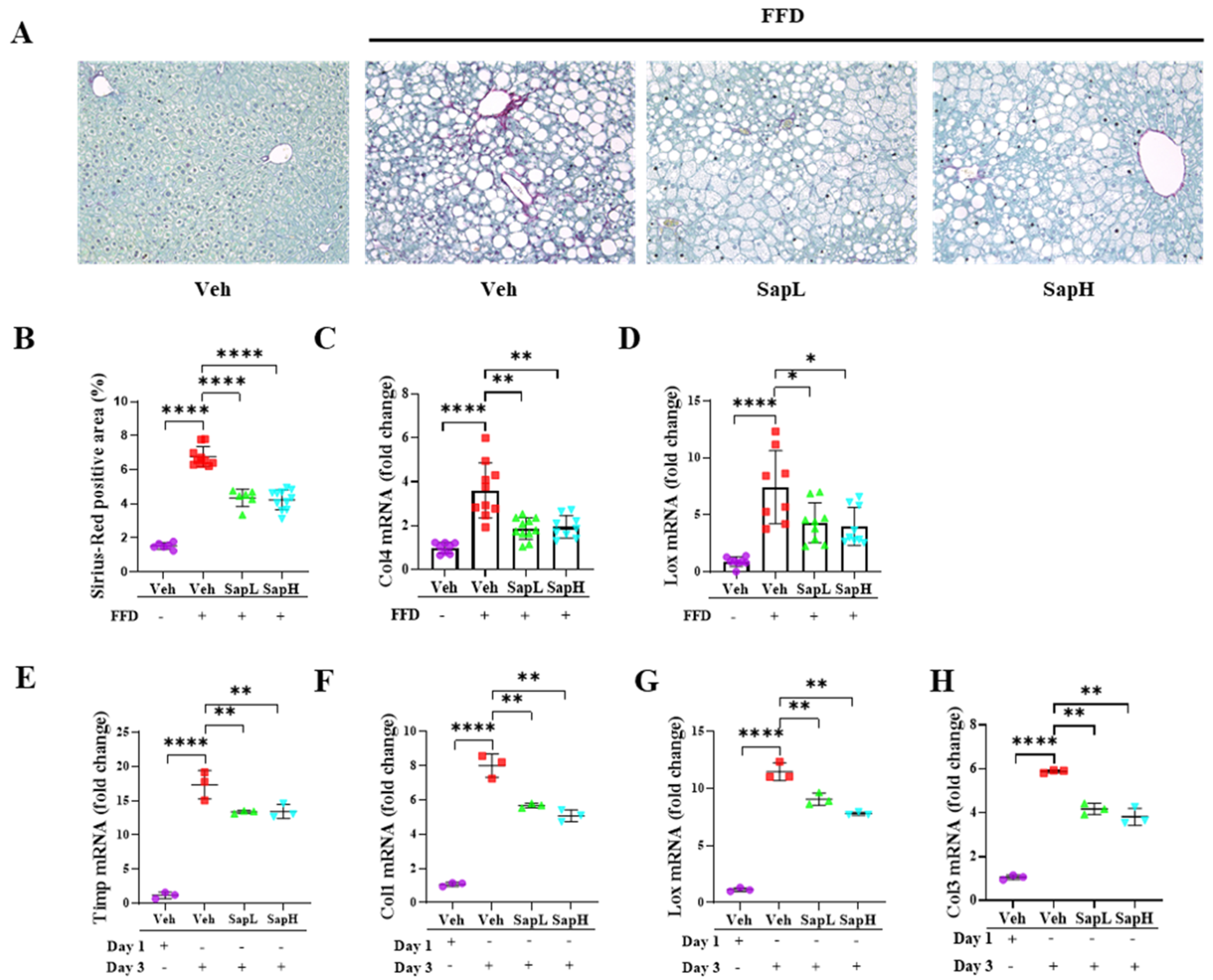 Nutrients 13 00856 g003