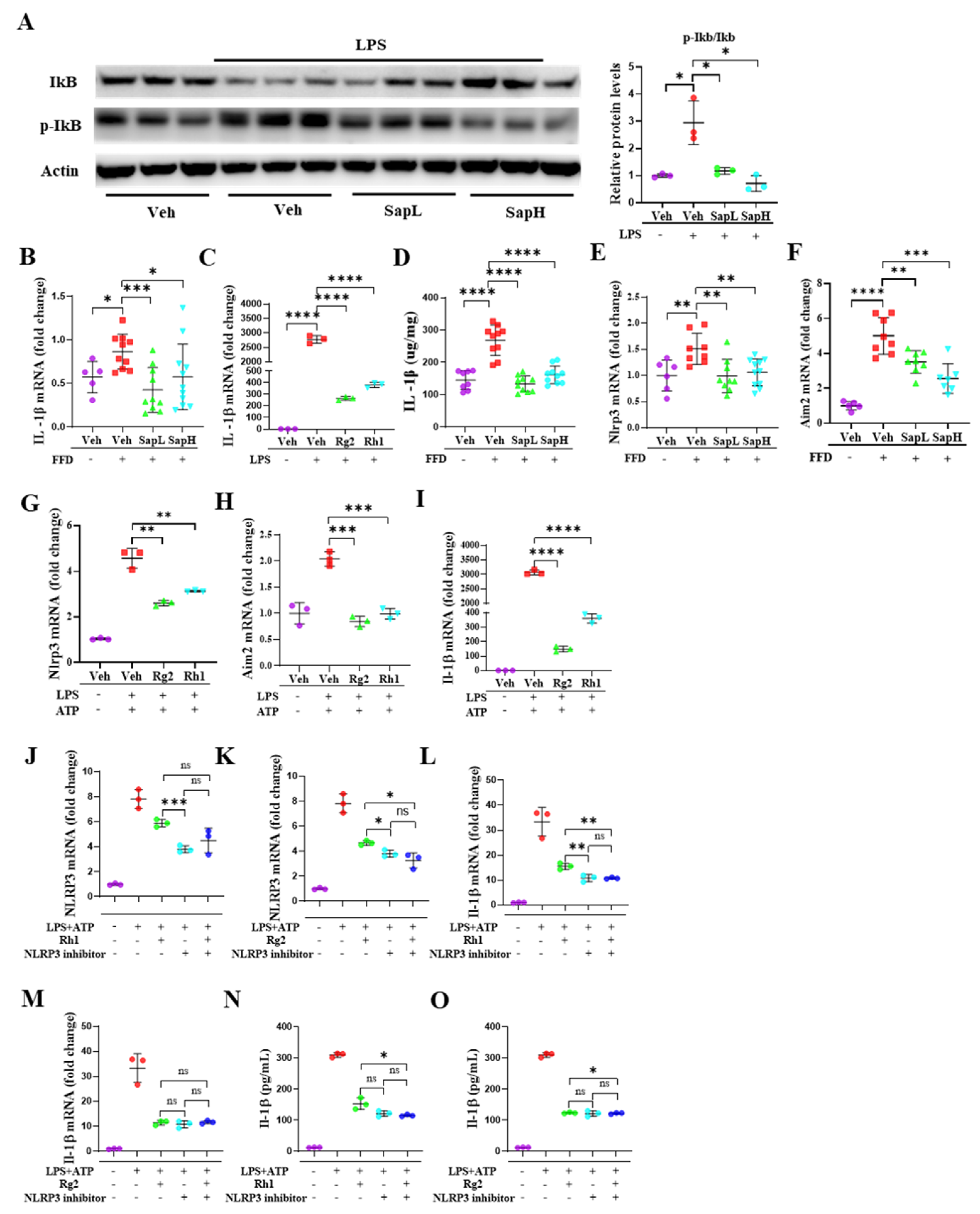 Nutrients 13 00856 g005