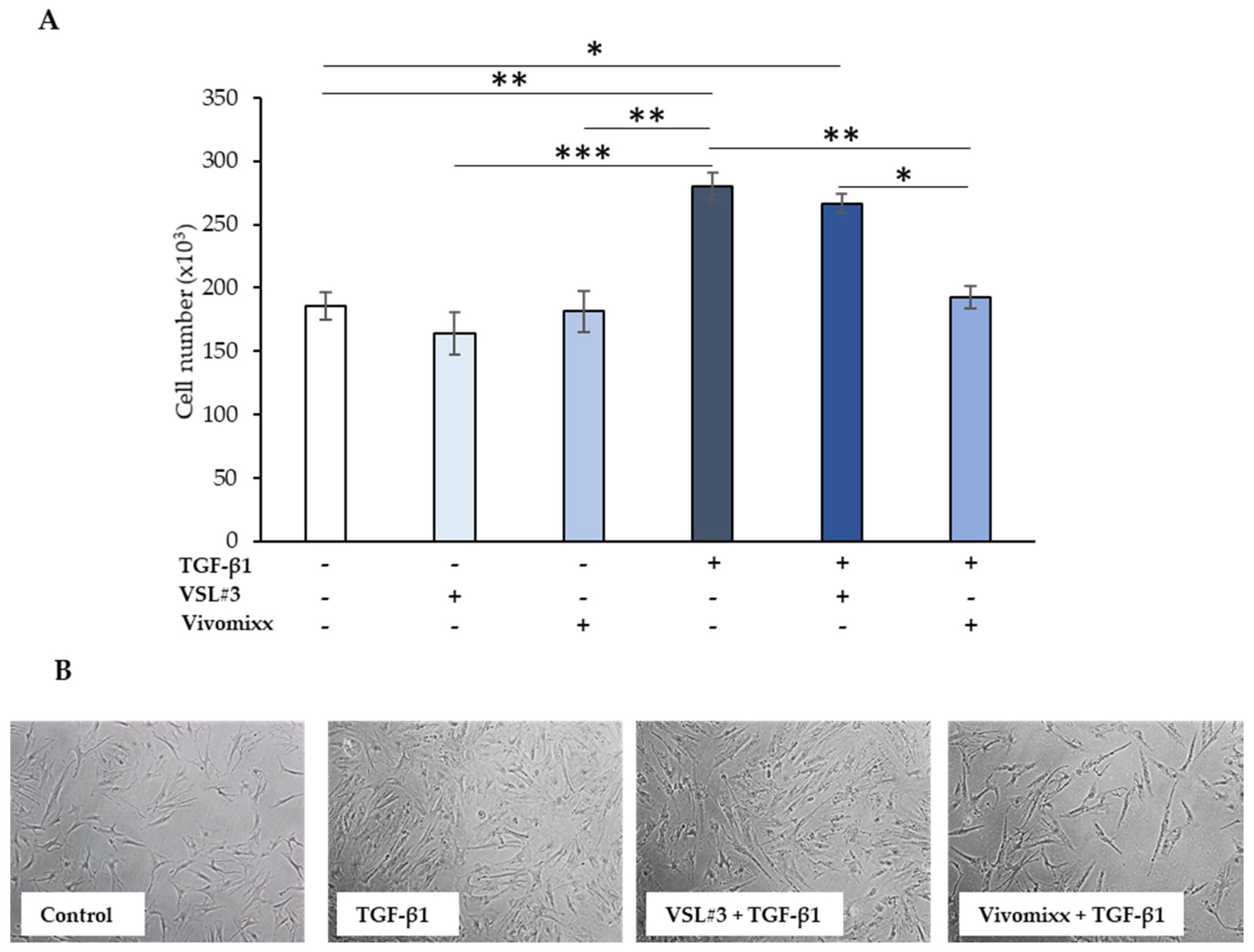 Nutrients 13 00882 g001