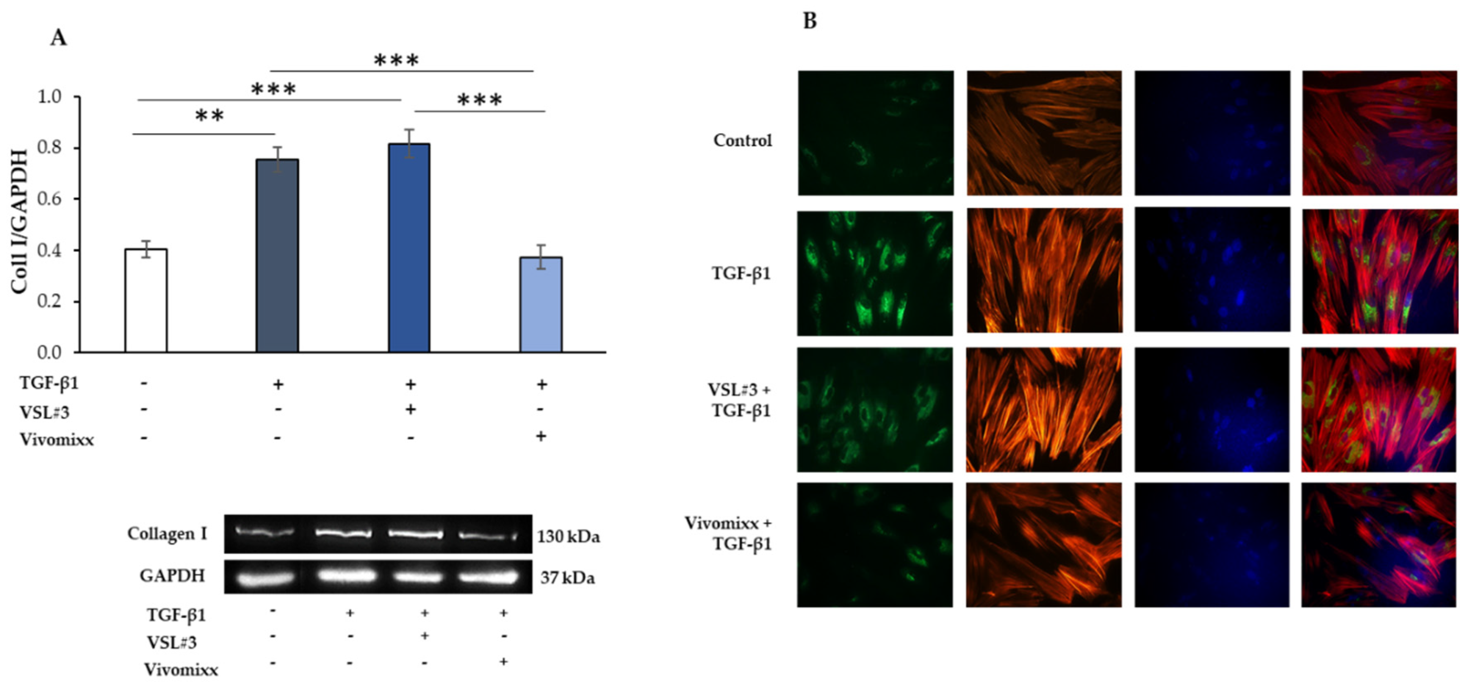 Nutrients 13 00882 g002
