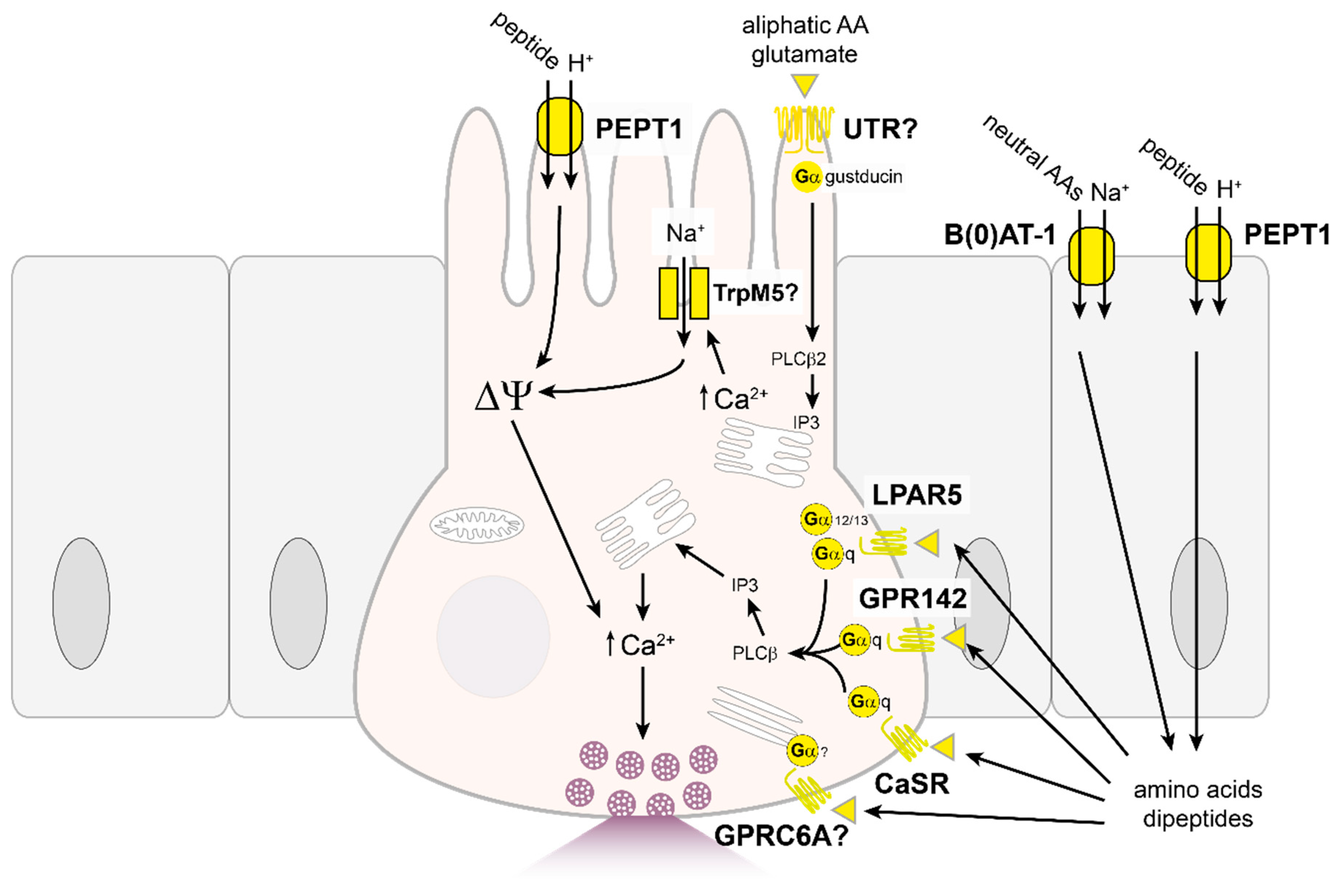 Nutrients 13 00883 g003