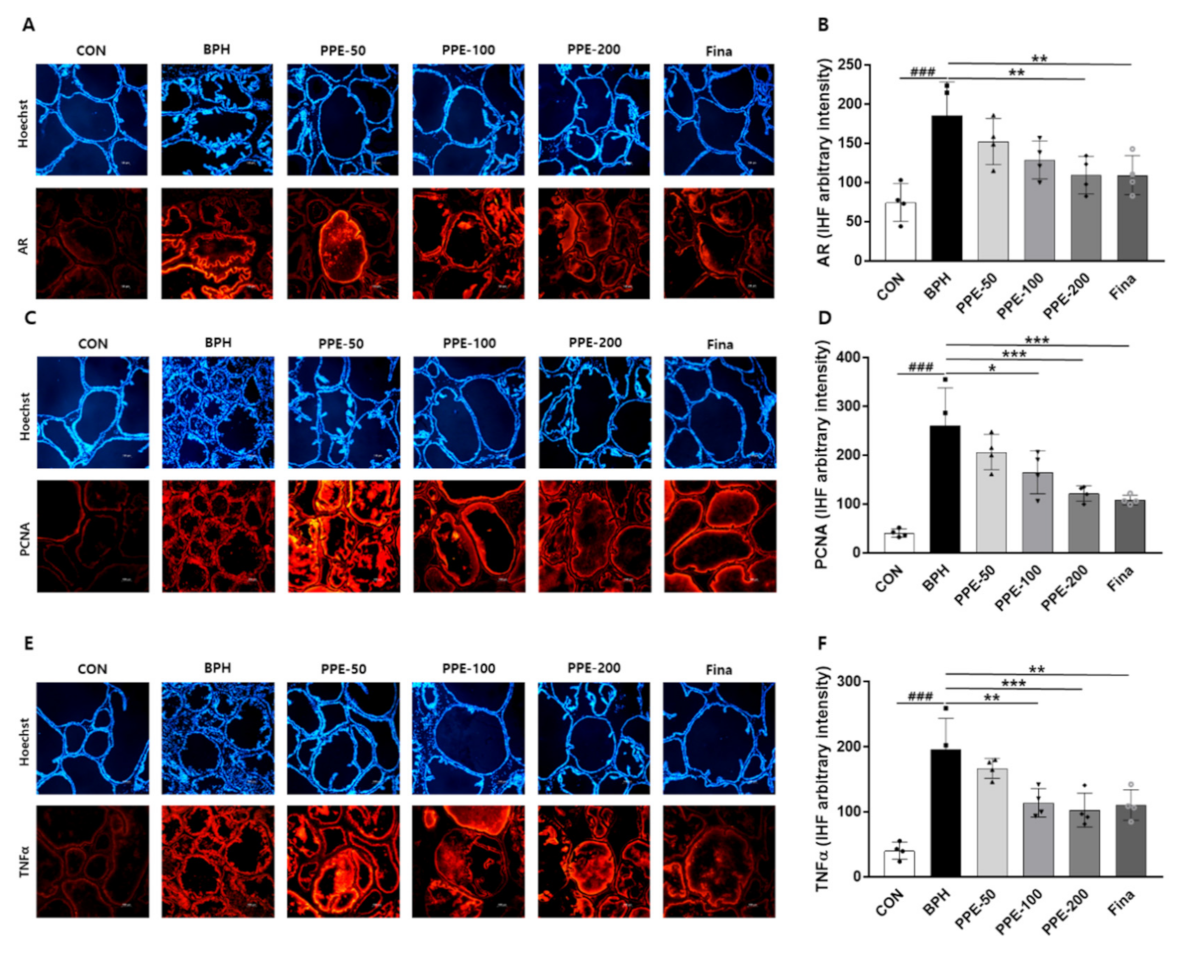 Nutrients 13 00884 g005 Nutrients 13 00884 g005