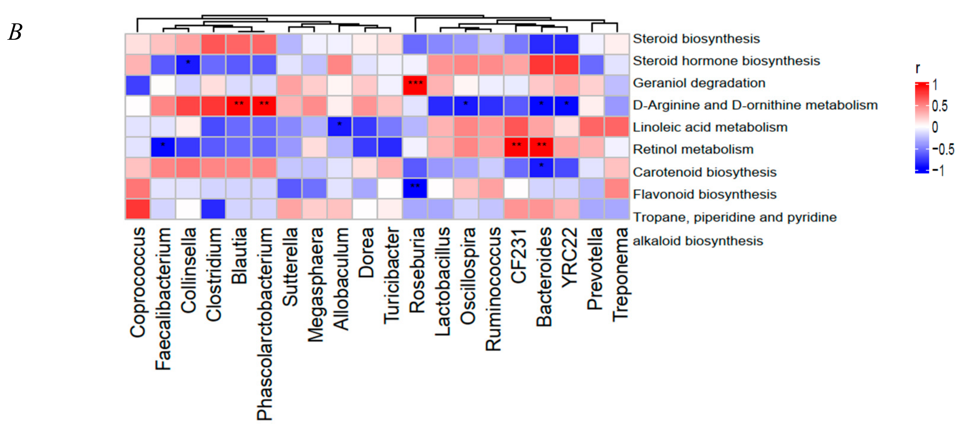 Nutrients 13 00891 g005b Nutrients 13 00891 g005b