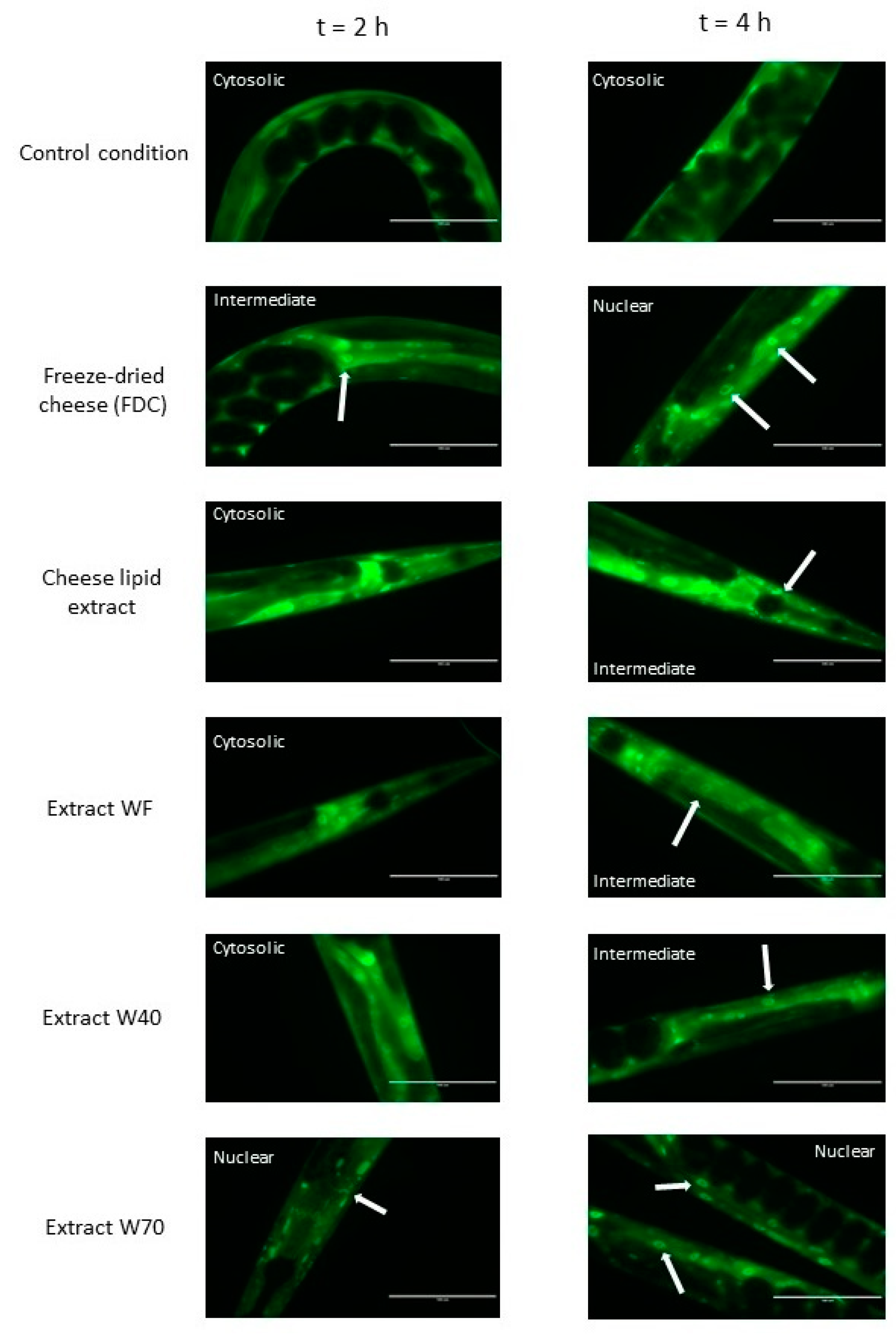 Nutrients 13 00897 g005 Nutrients 13 00897 g005