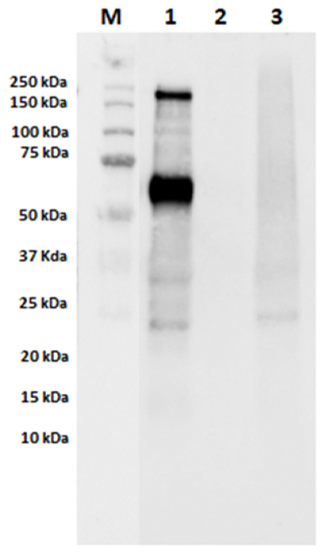 Nutrients 13 00931 g004