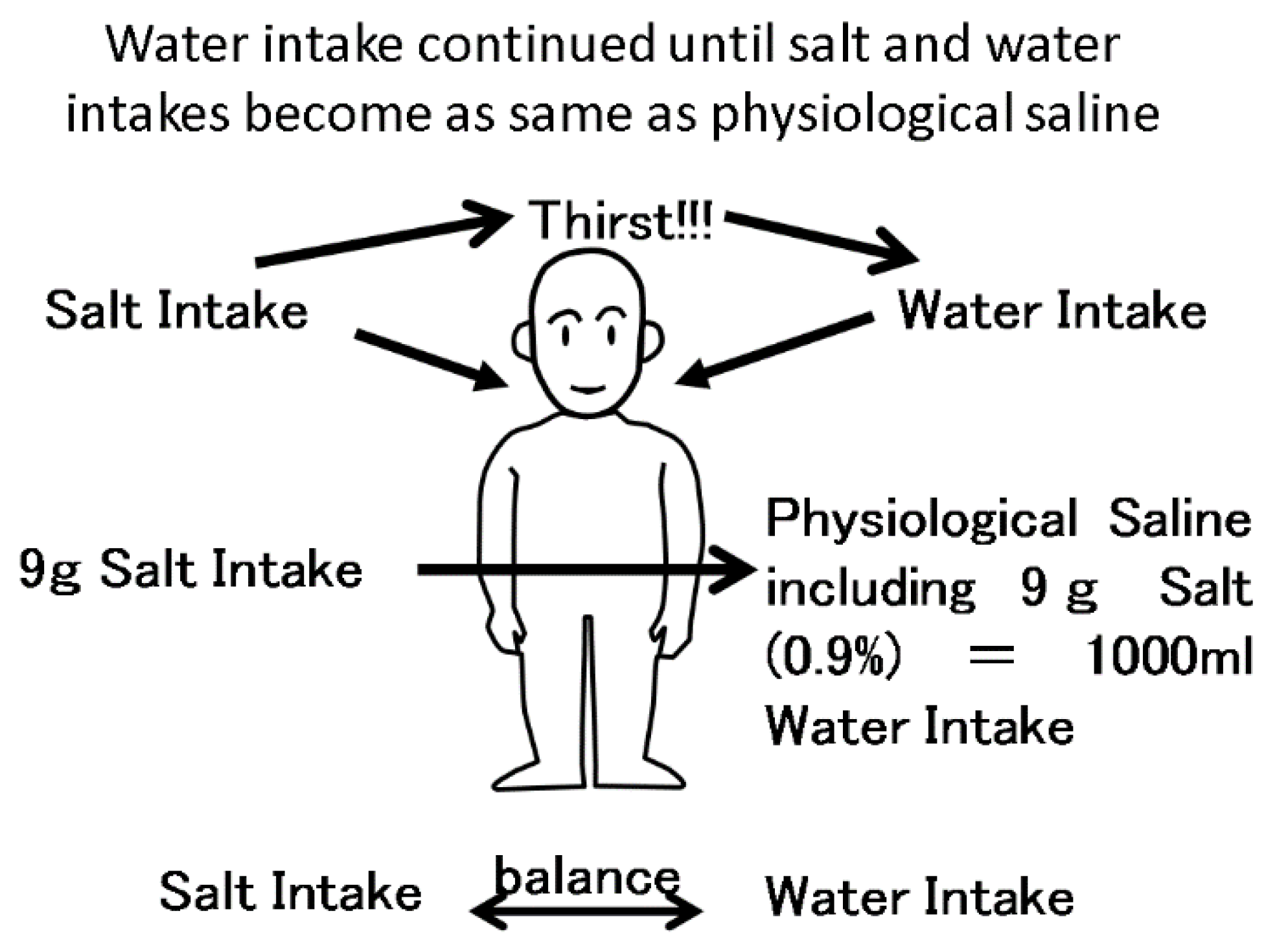 Nutrients 13 00951 g002 Nutrients 13 00951 g002
