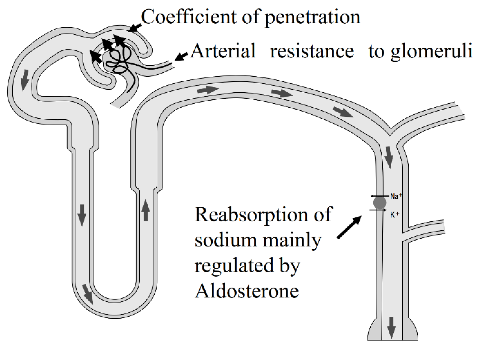 Nutrients 13 00951 g003 Nutrients 13 00951 g003