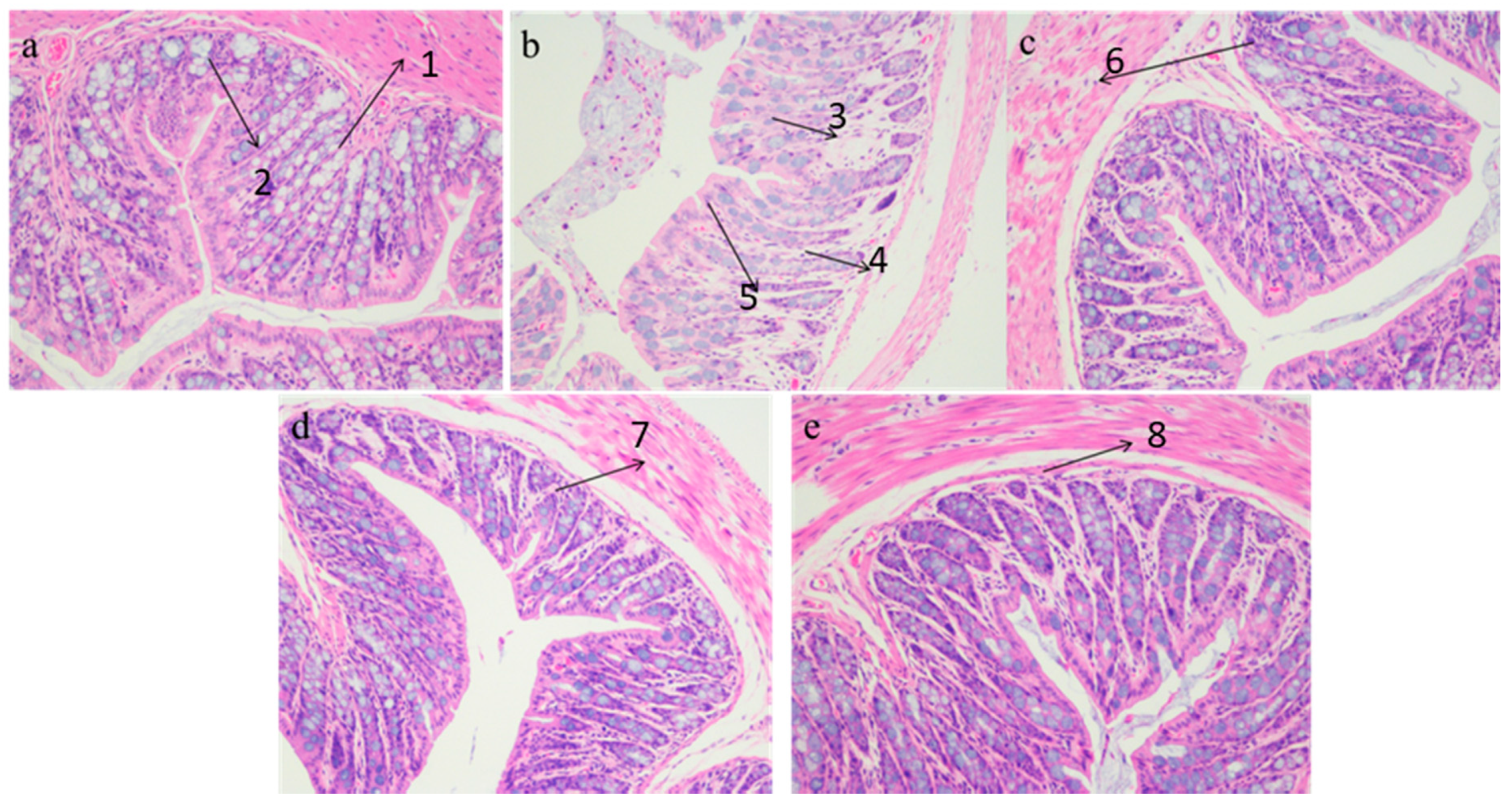 Nutrients 13 00971 g005