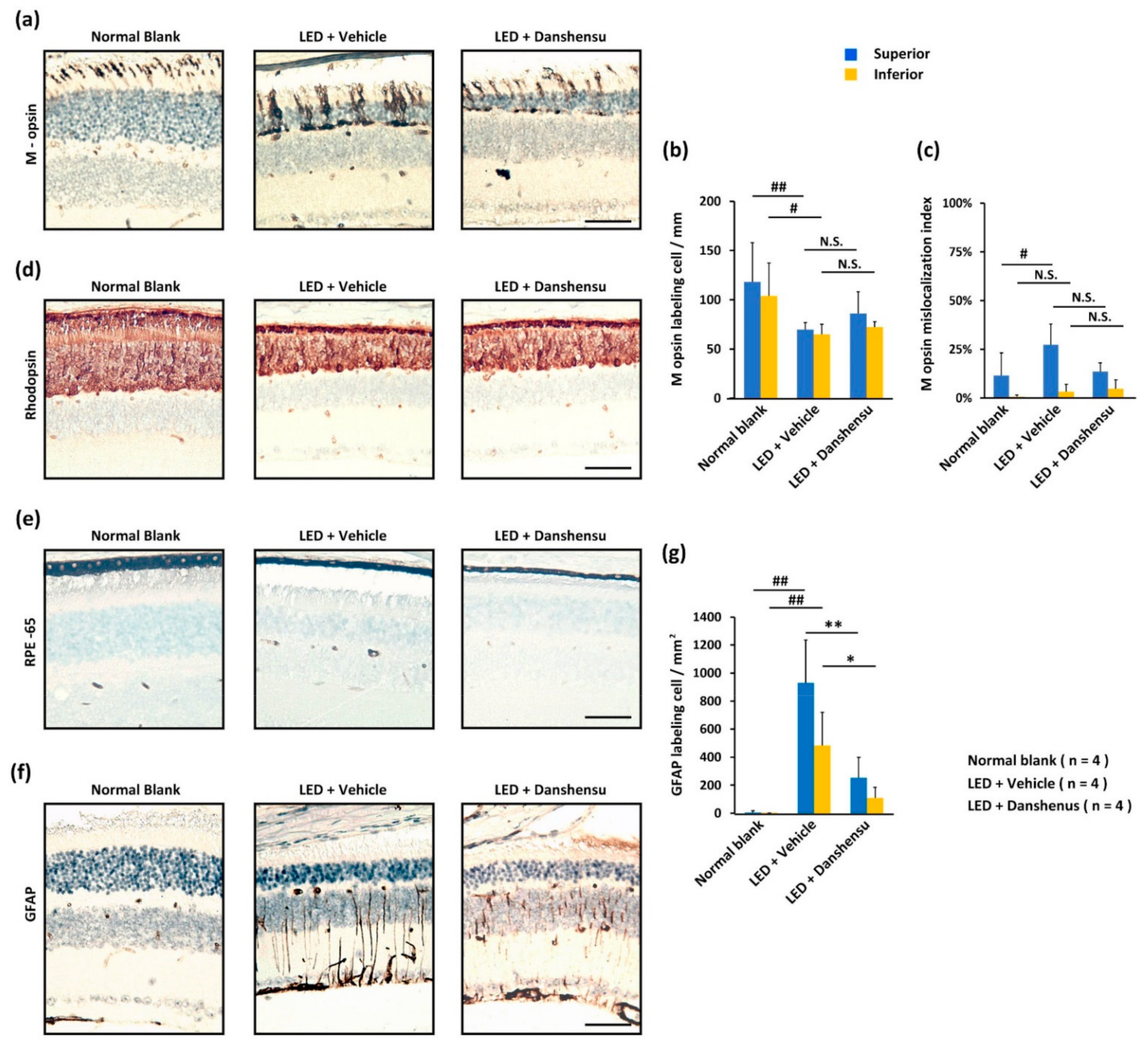 Nutrients 13 00978 g004 Nutrients 13 00978 g004