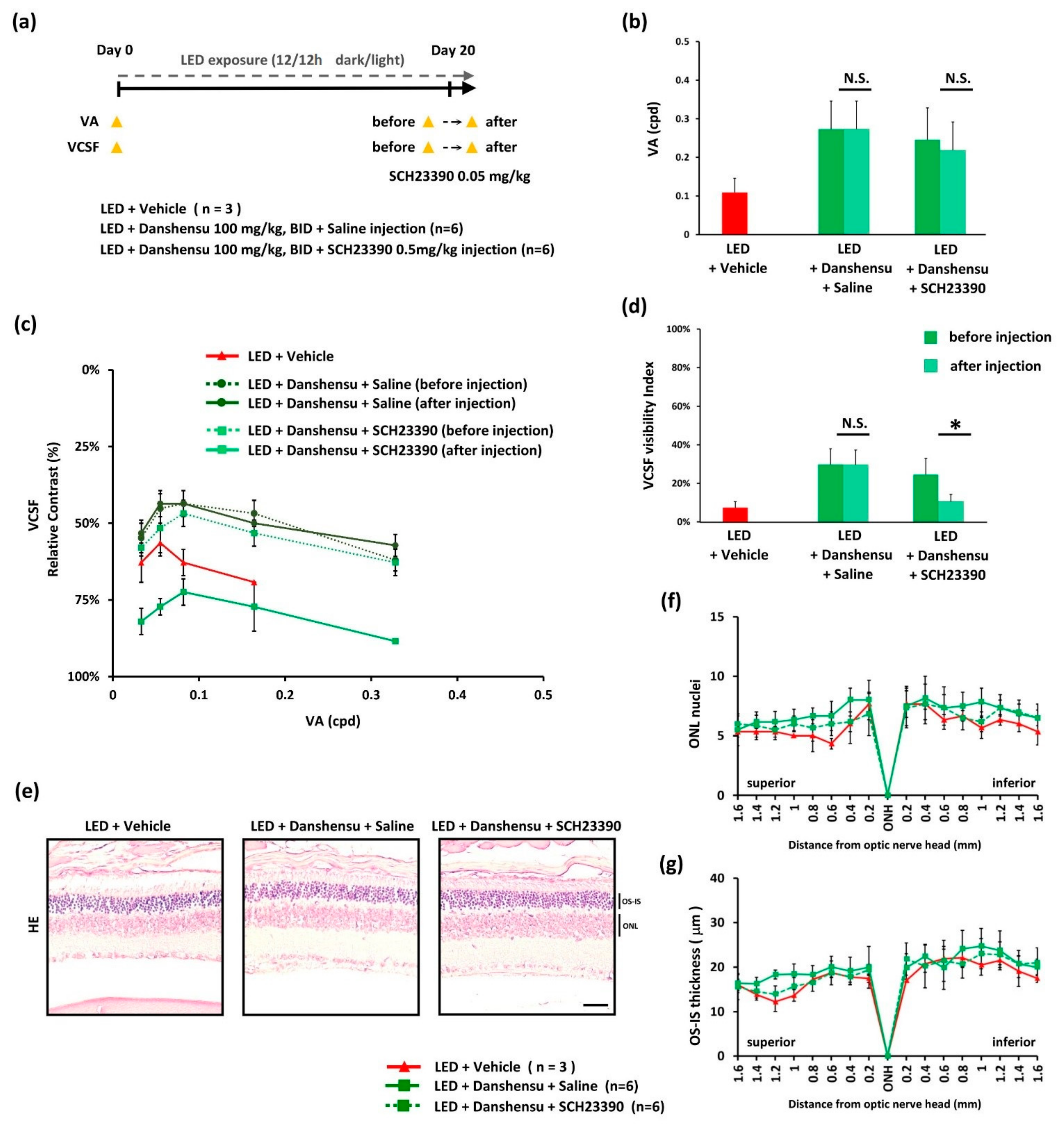 Nutrients 13 00978 g005 Nutrients 13 00978 g005
