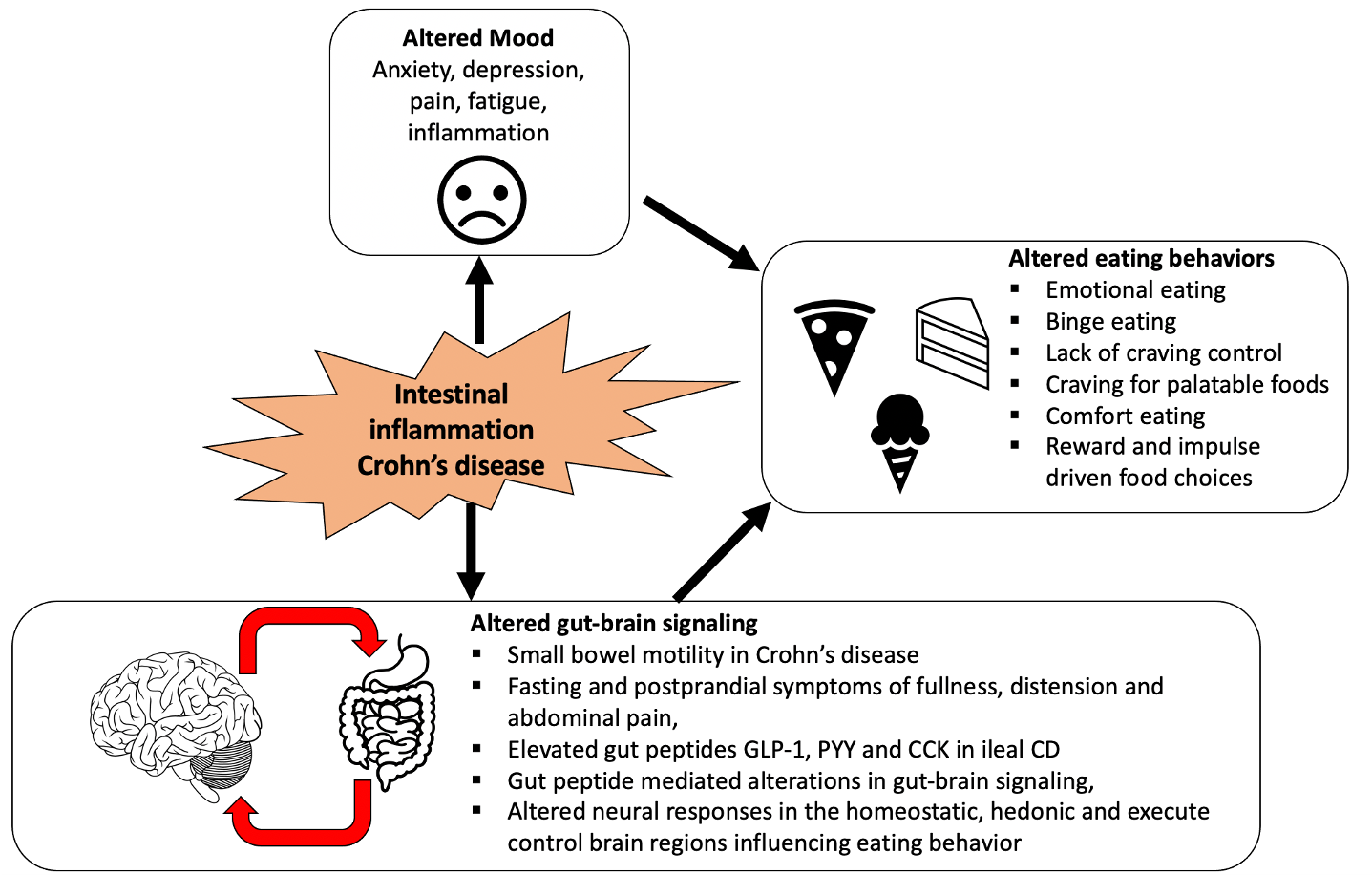 Leaky gut: What is it, and what does it mean for you? - Harvard Health