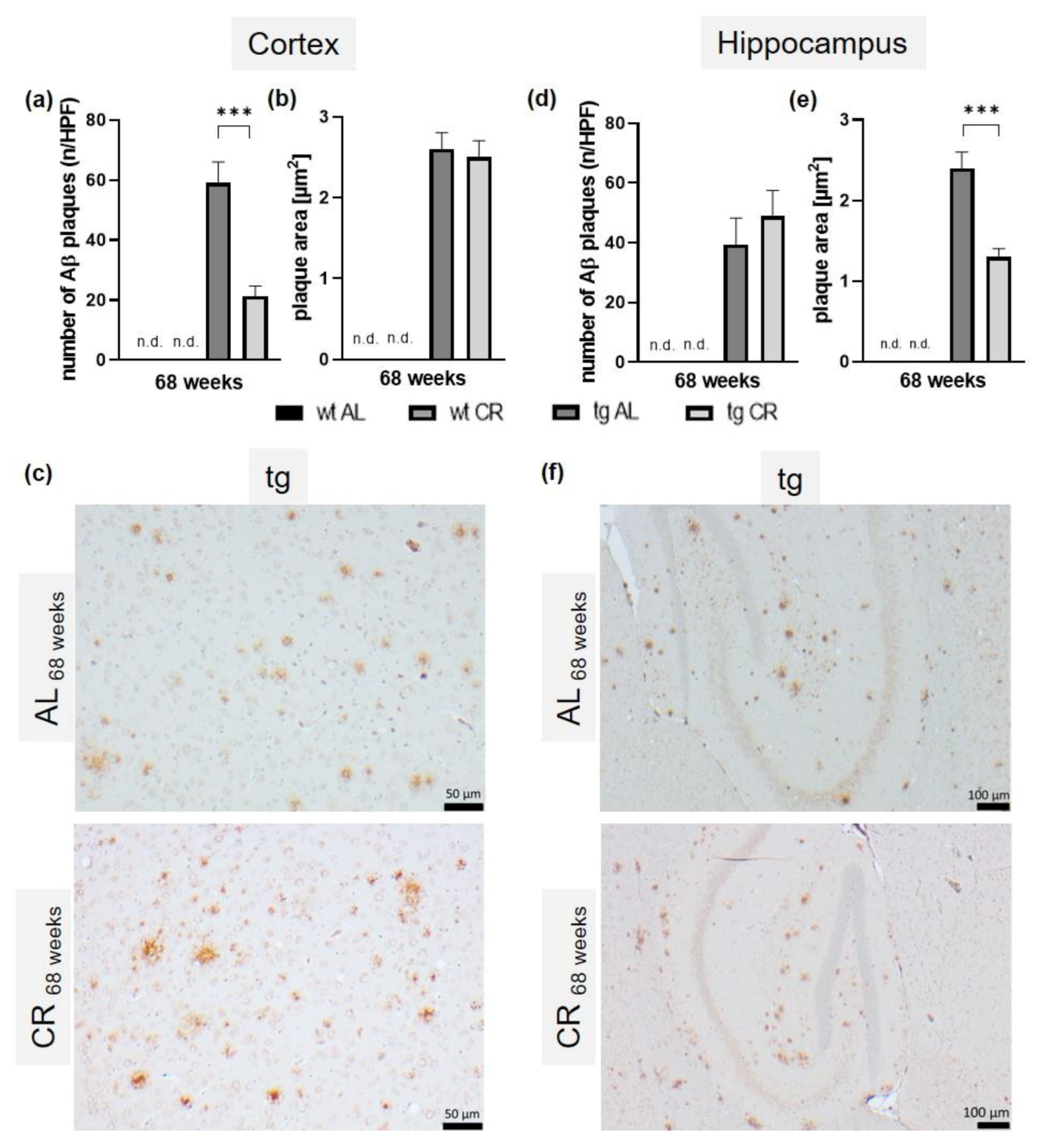 Nutrients Free Full Text Long Term Caloric Restriction Attenuates B Amyloid Neuropathology And Is Accompanied By Autophagy In Appswe Ps1delta9 Mice Html