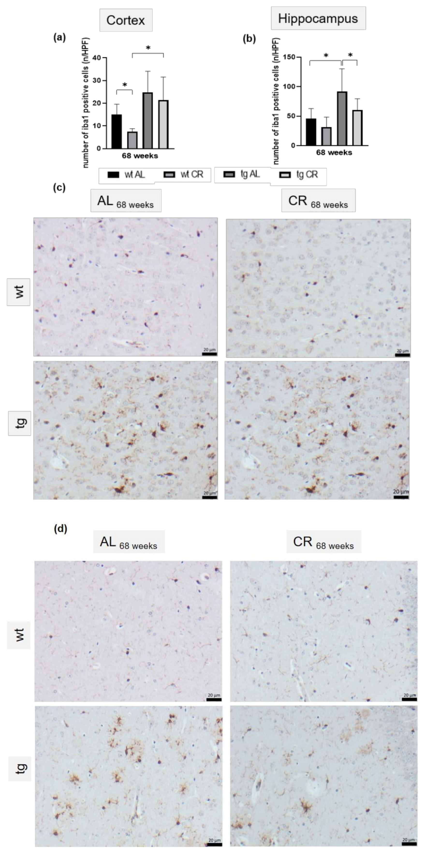 Nutrients 13 00985 g006 Nutrients 13 00985 g006