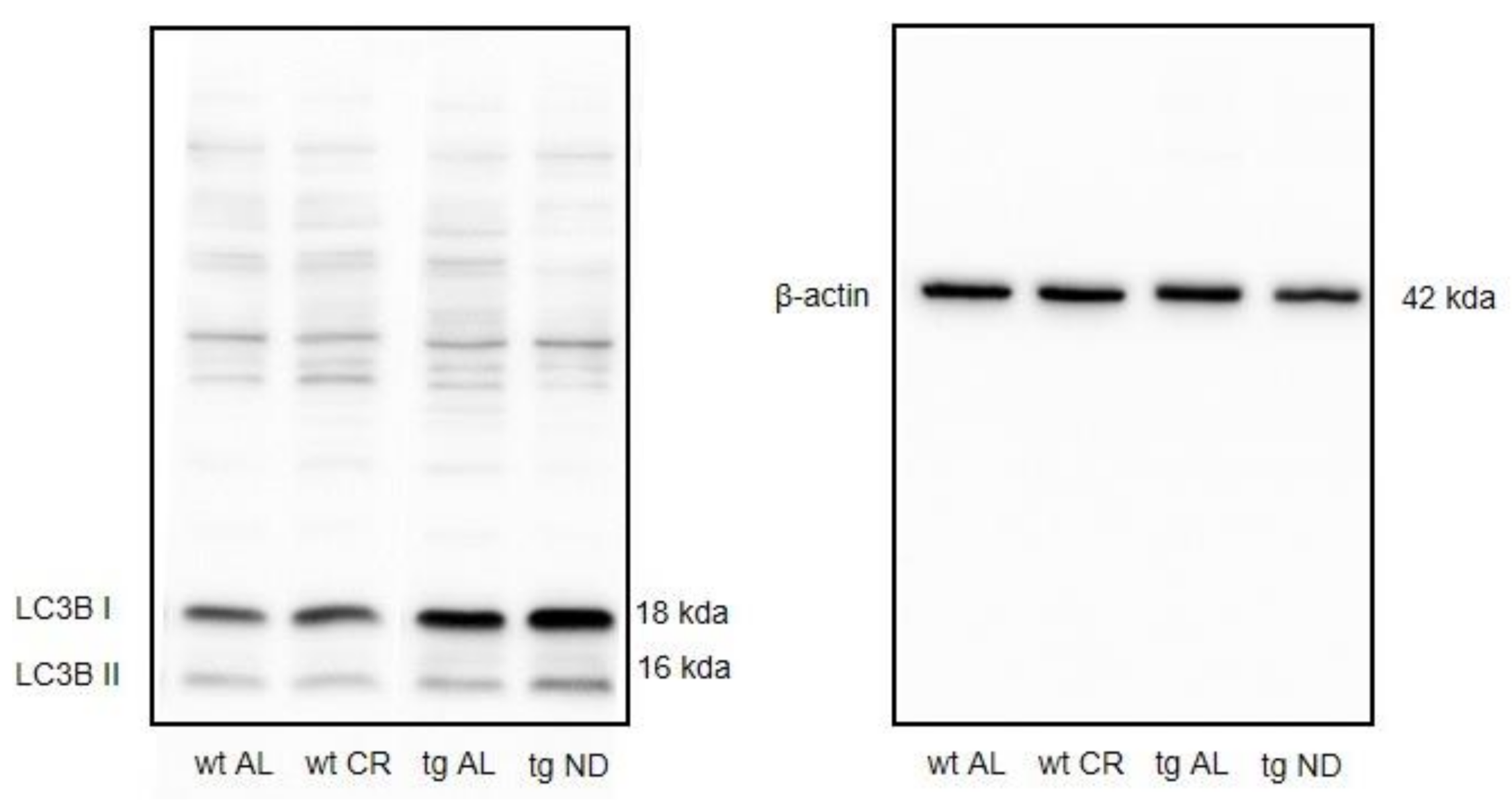 Nutrients 13 00985 g0a2 Nutrients 13 00985 g0a2